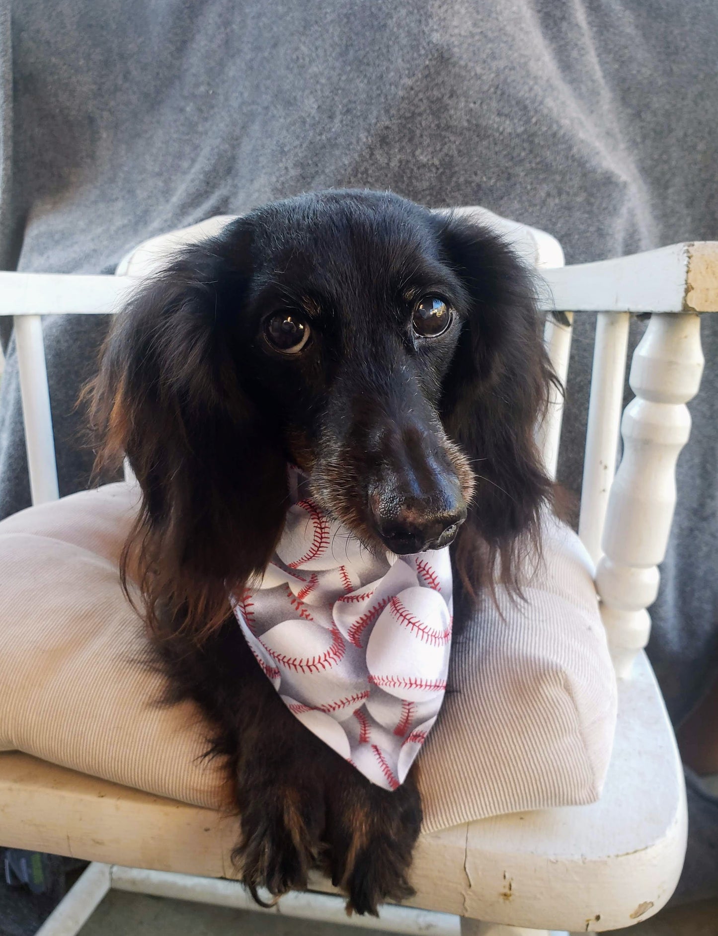 Clip on Dog Bandana With Buckle Pet Cat Bandanna Baseball Baseballs Summer Sports MLB MiLB tball Little League Handmade to Order