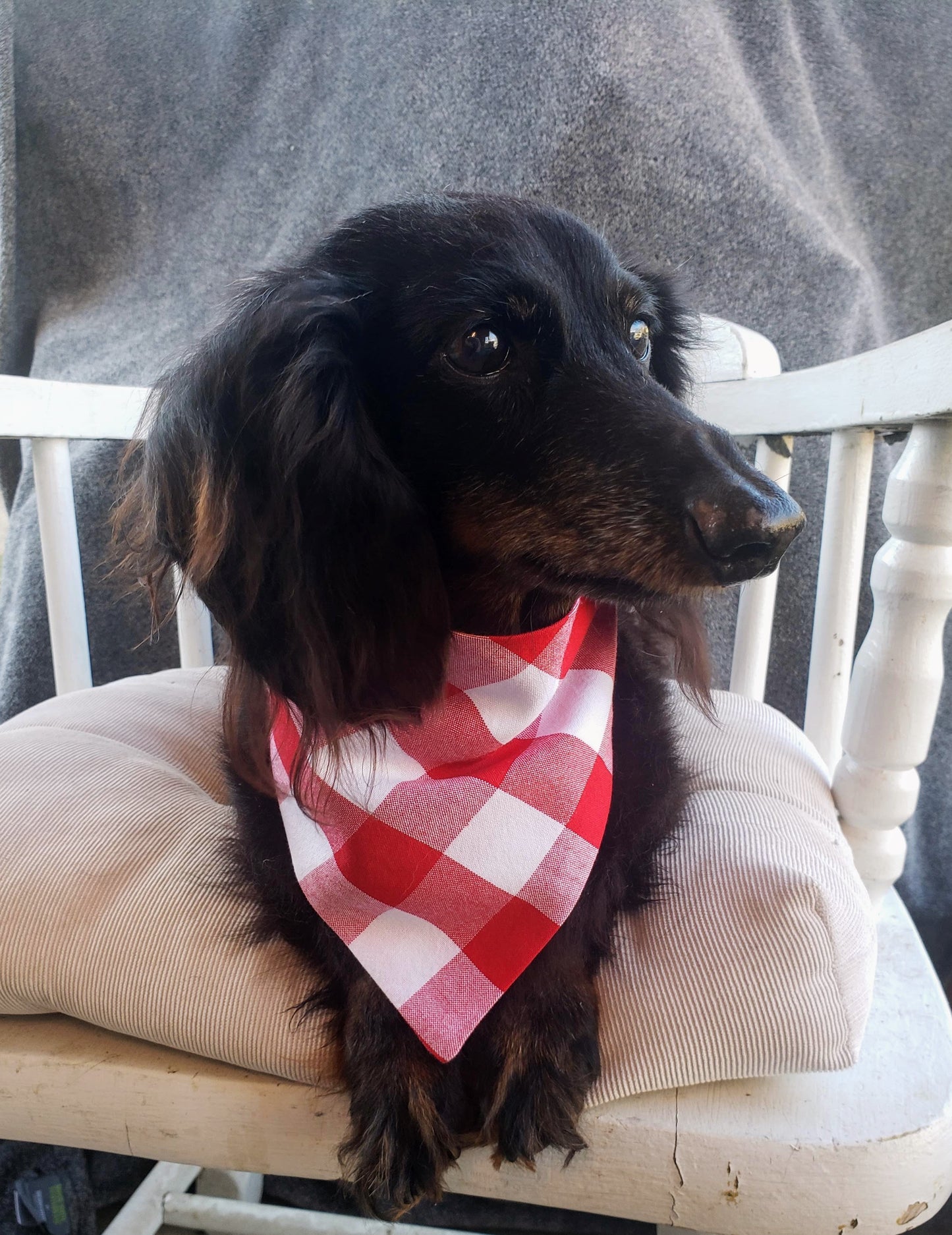 Clip on Dog Bandana With Buckle Pet Cat Bandanna Large One Inch Red Buffalo Plaid Check Handmade to Order