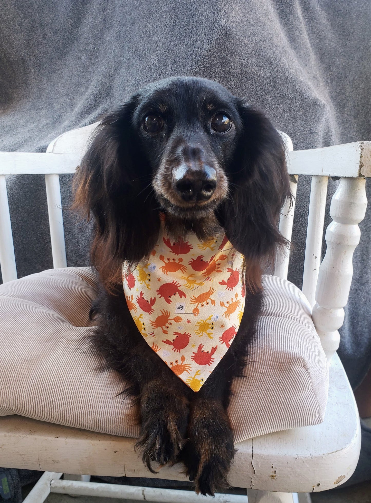 Clip on Dog Bandana With Buckle Pet Cat Bandanna Crabs Crab Ocean Beach Tropical Handmade to Order