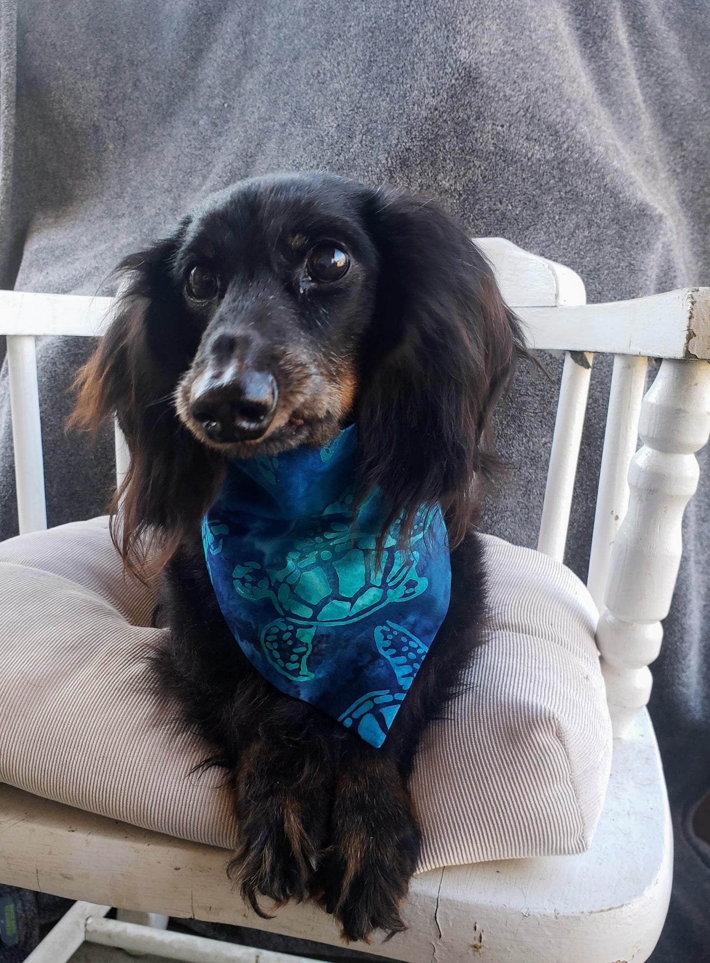 Clip on Dog Bandana With Buckle Pet Cat Bandanna Blue Sea Turtles Batik Ocean Beach Deep Sea Creatures Handmade to Order