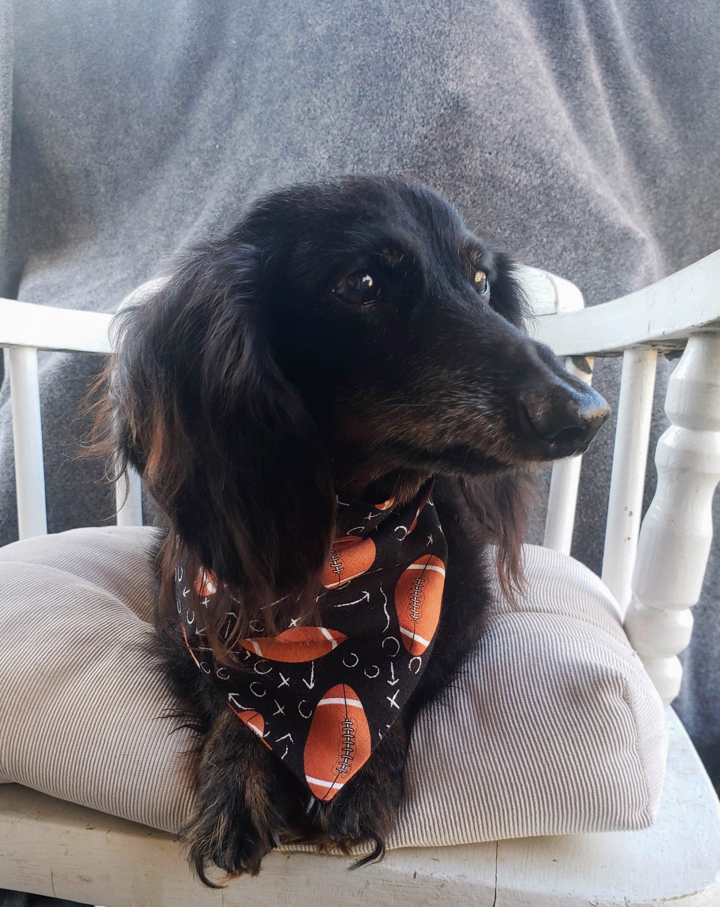Football Season Touchdown Fall Autumn Clip on Dog Bandana With Buckle Pet Cat Bandanna Handmade to Order