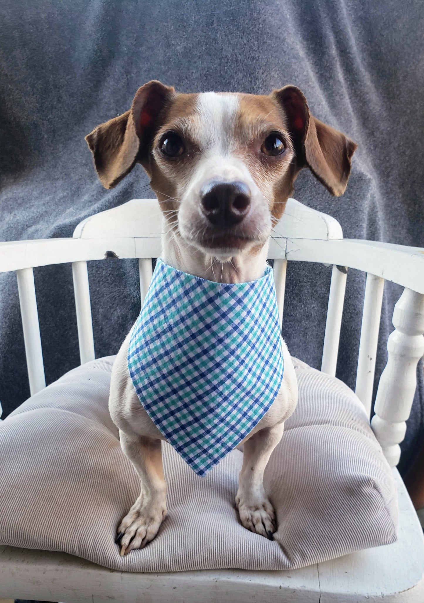 Clip on Dog Bandana With Buckle Pet Cat Bandanna Tiny Teal & Navy Blue Gingham Plaid Handmade to Order