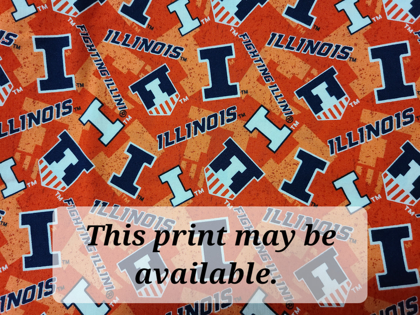 University of ILLINOIS FIGHTING ILLINI Clip on Dog Bandana With Buckle Pet Cat Bandanna Scarf ncaa Handmade to Order