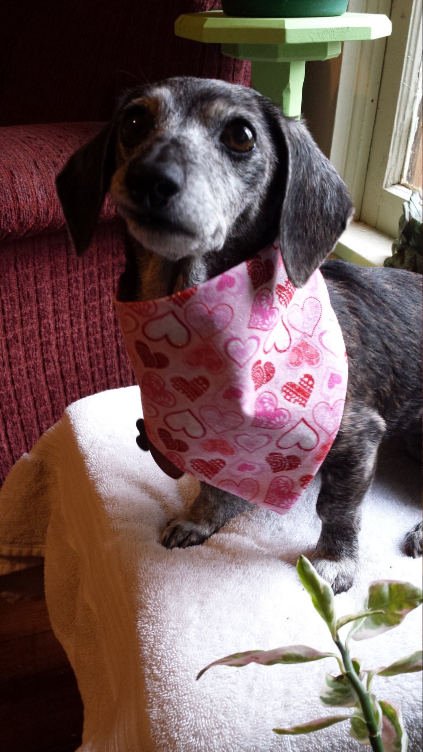 Sparkle Hearts Valentine's Day Clip on Dog Bandana With Buckle Pet Cat Bandanna Handmade to Order