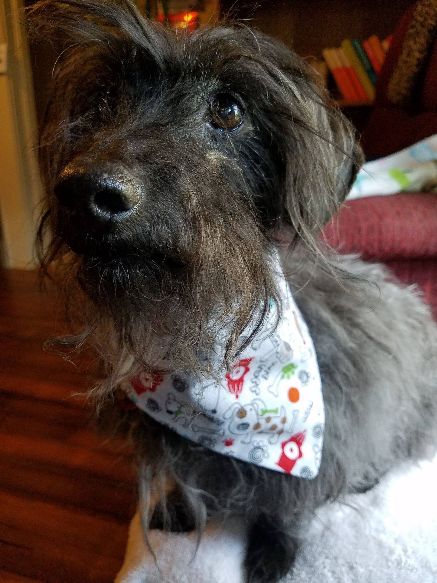 Clip on Dog Bandana With Buckle Pet Cat Bandanna Scarf White Fire Hydrants Print Handmade to Order