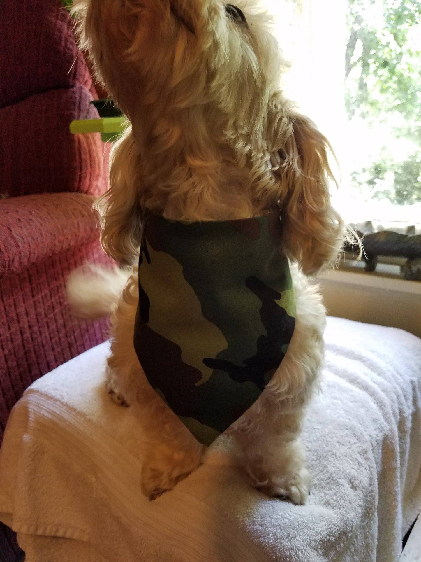 Clip on Dog Bandana With Buckle Pet Cat Bandanna Scarf Green Camo Print Handmade to Order