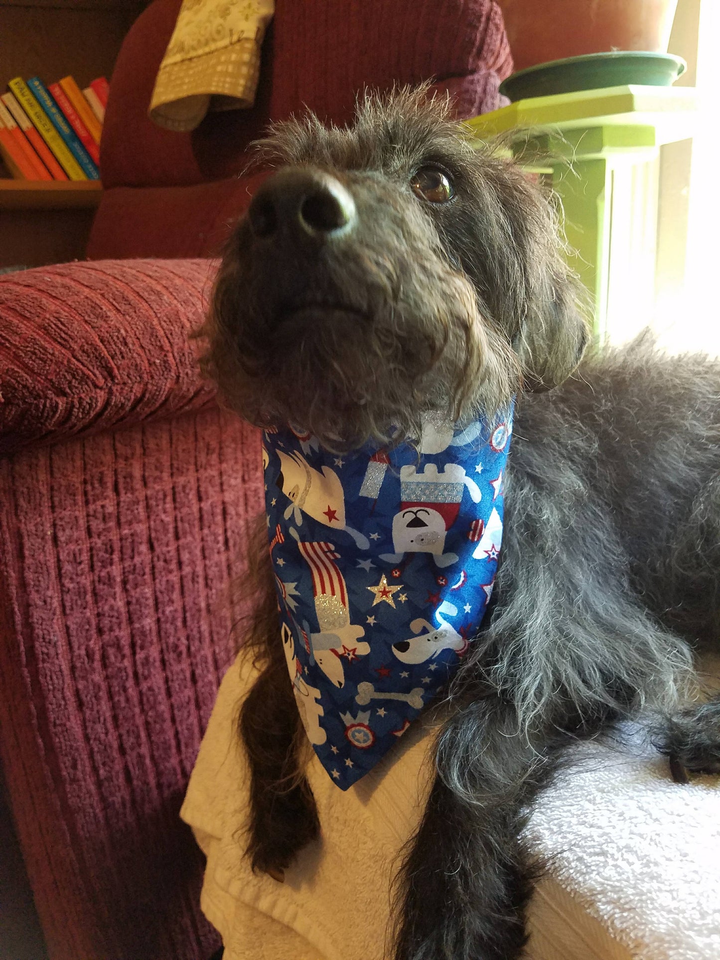 Clip on Dog Bandana With Buckle Pet Cat Bandanna Scarf Red White & Blue Patriotic Americana Handmade to Order
