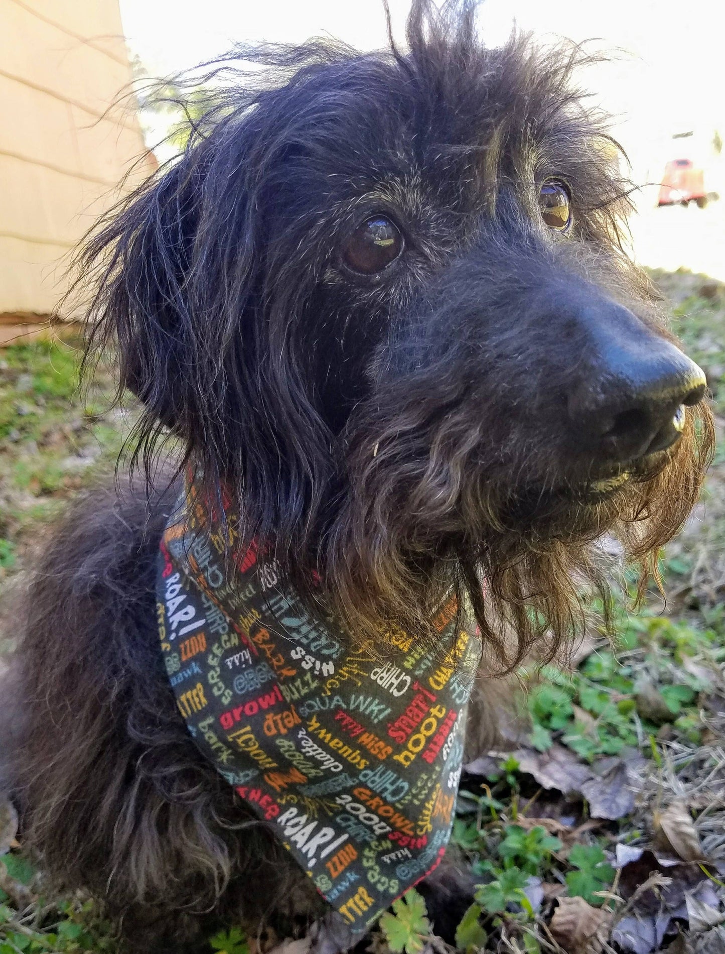 Clip on Dog Bandana With Buckle Pet Cat Bandanna Scarf Green Khaki Camping Hiking Trail Animal Sounds Handmade to Order