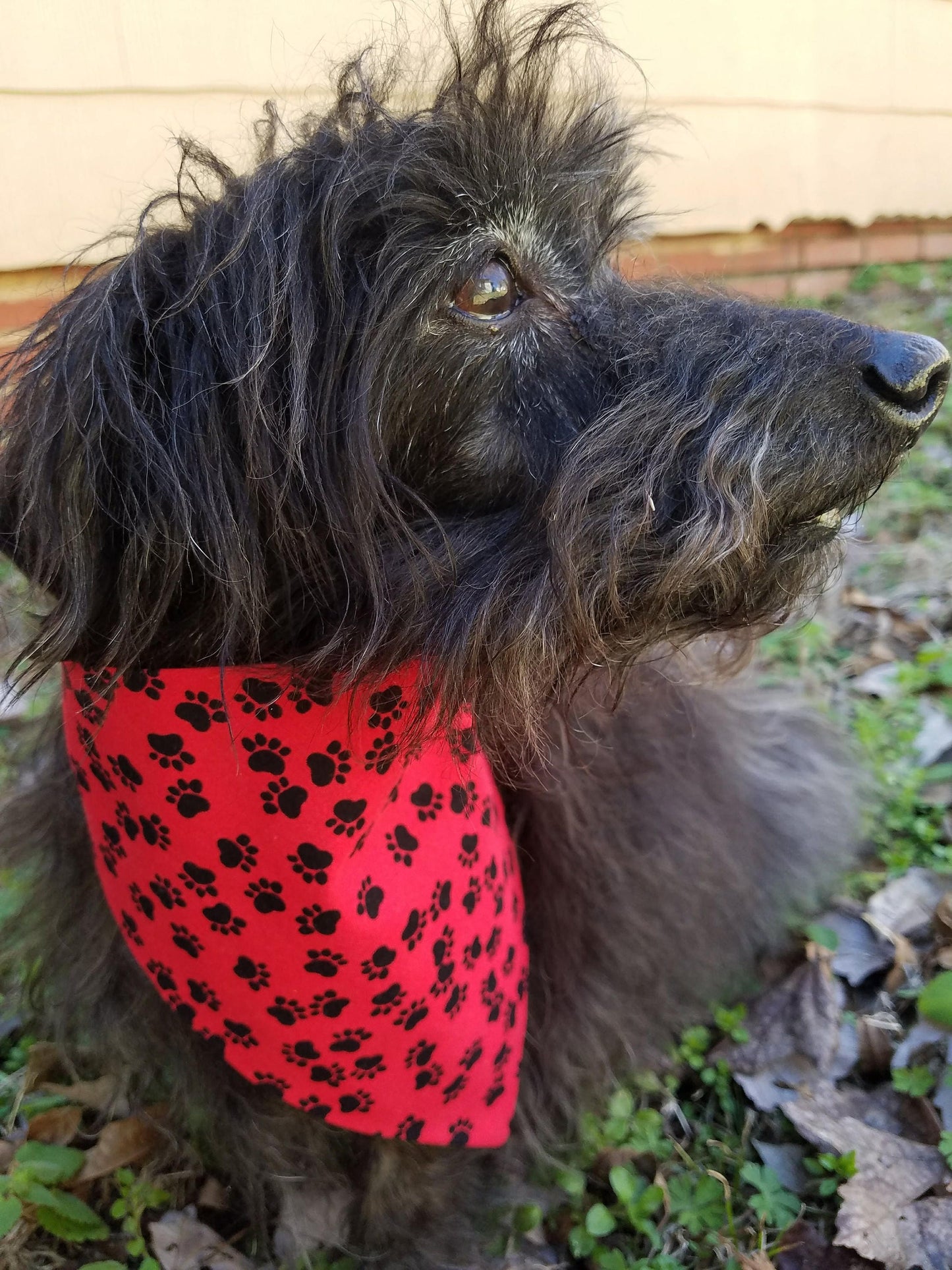 Clip on Dog Bandana With Buckle Pet Cat Bandanna Scarf Red & Black Paws Handmade to Order