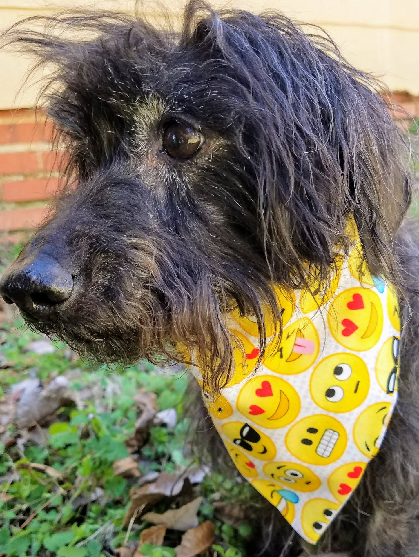 Clip on Dog Bandana With Buckle Pet Cat Bandanna Scarf Yellow Emojis Emoticons Handmade to Order