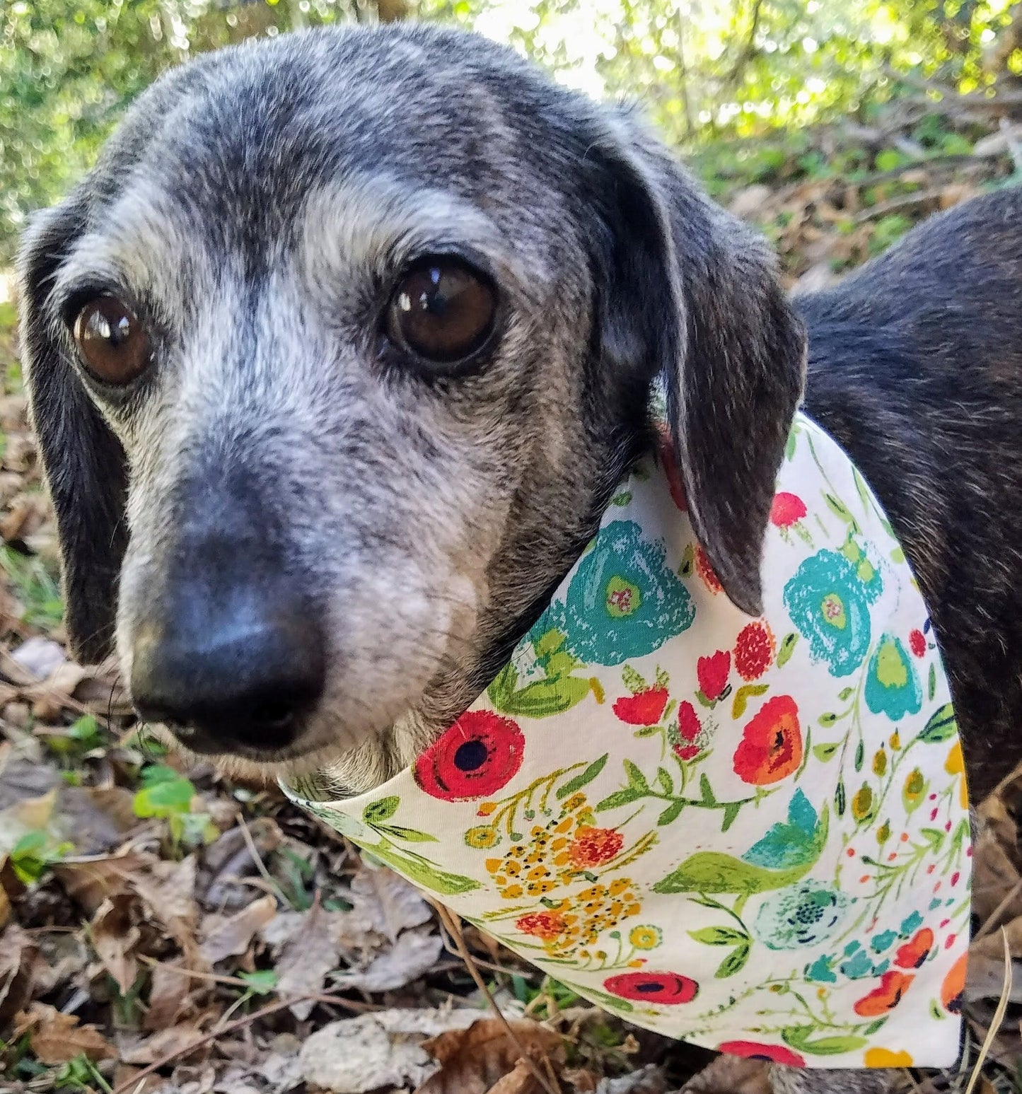 Clip on Dog Bandana With Buckle Pet Cat Bandanna Scarf Floral Flowers Summer Handmade to Order