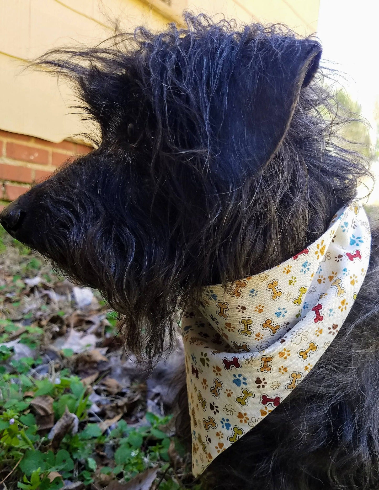 Clip on Dog Bandana With Buckle Pet Cat Bandanna Scarf Cream Paws & Bones Handmade to Order