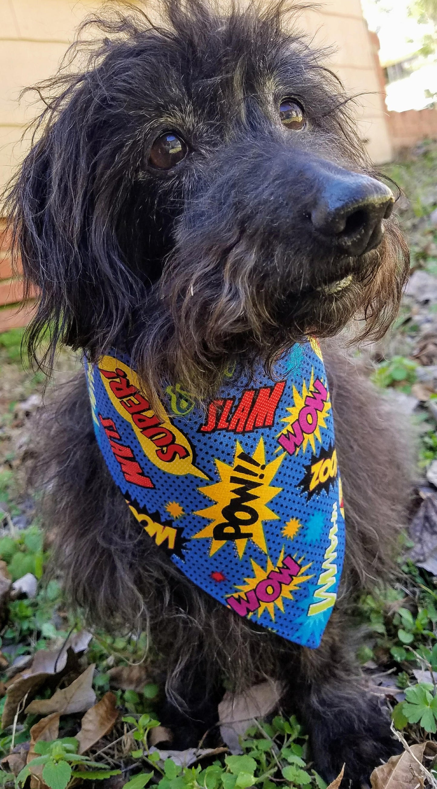Clip on Dog Bandana With Buckle Pet Cat Bandanna Scarf Blue Comic Book Words Super Hero Handmade to Order