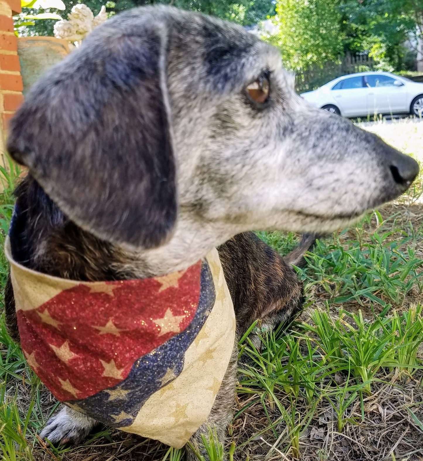 Clip on Dog Bandana With Buckle Dog Bandanna Scarf Red White Blue Patriotic Americana Handmade Gold Glitter Bling Handmade to Order