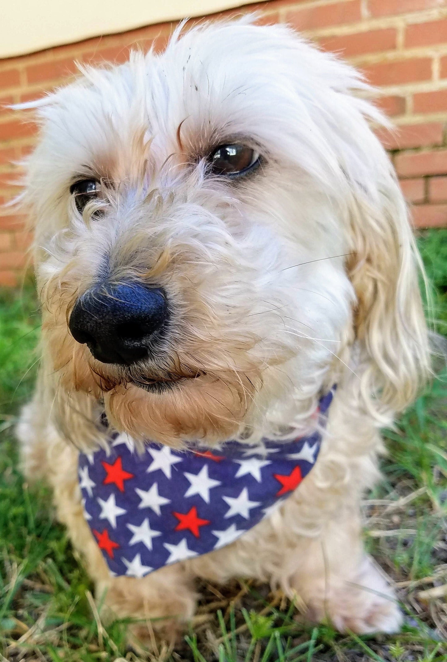 Stars USA Patriotic American Clip on Dog Bandana With Buckle Pet Cat Bandanna Handmade to Order