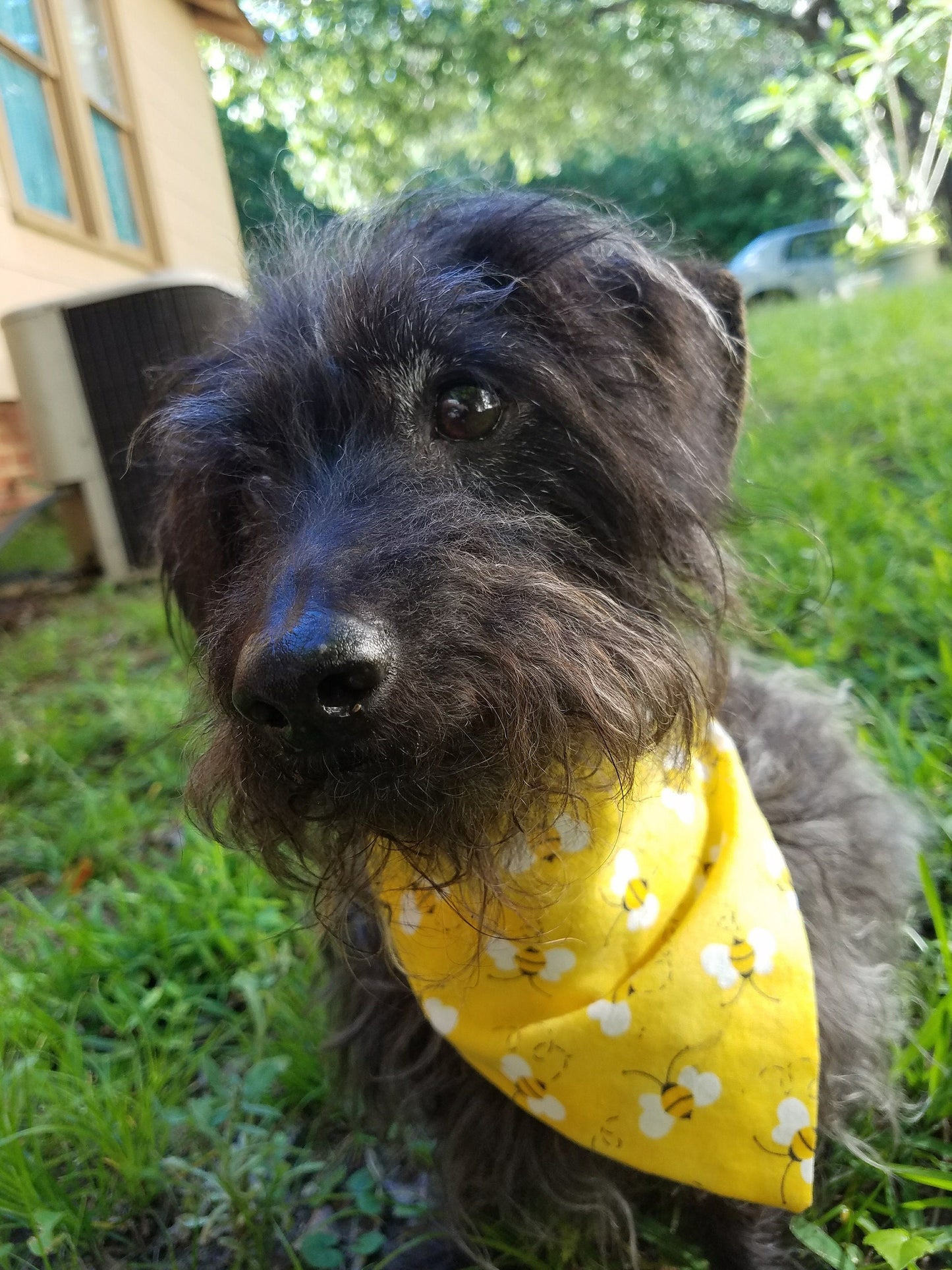 Clip on Dog Bandana With Buckle Pet Cat Bandanna Scarf Yellow Bees Summer Handmade to Order