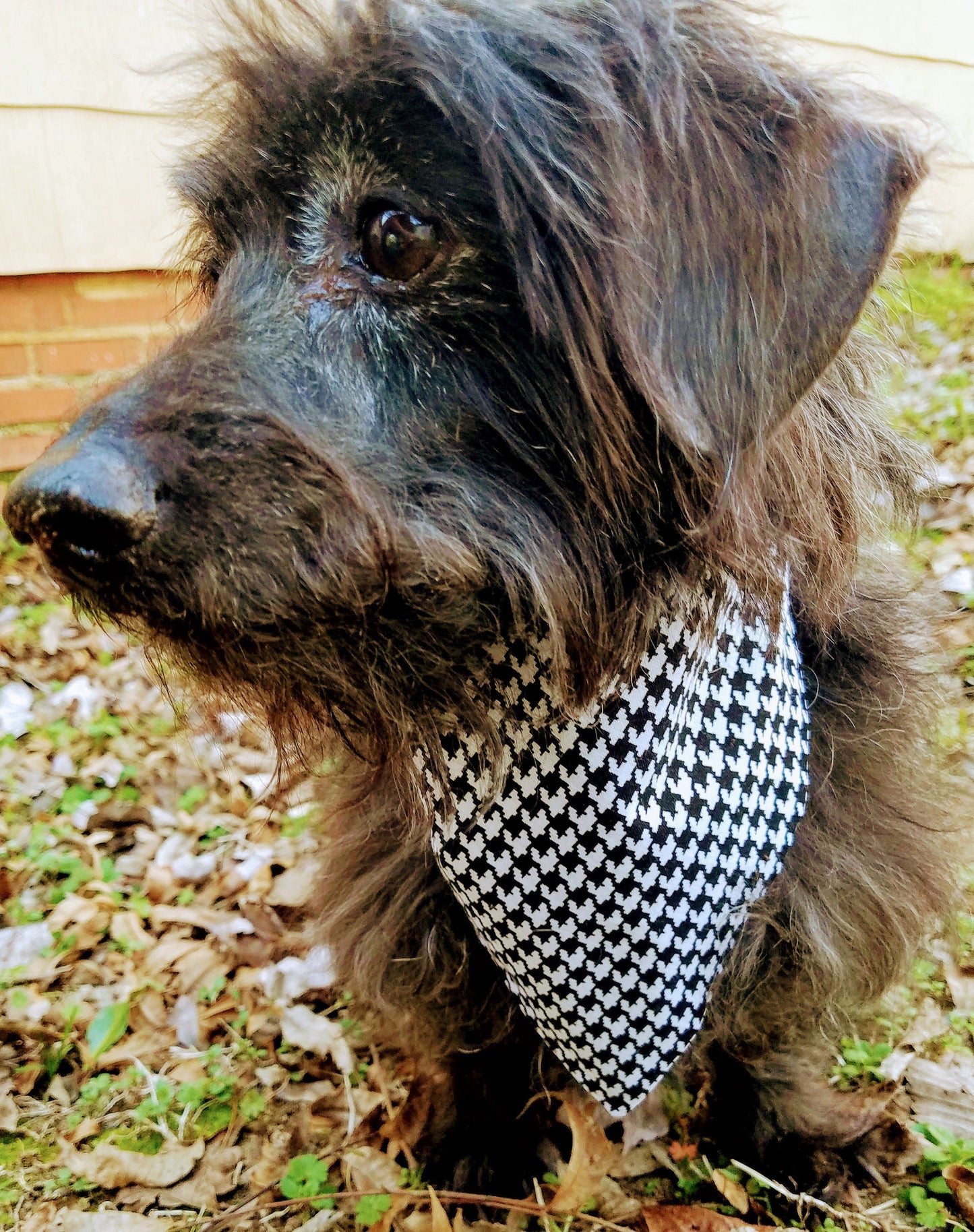 Clip on Dog Bandana With Buckle Pet Cat Bandanna Scarf Trendy Black & White Houndstooth Handmade to Order
