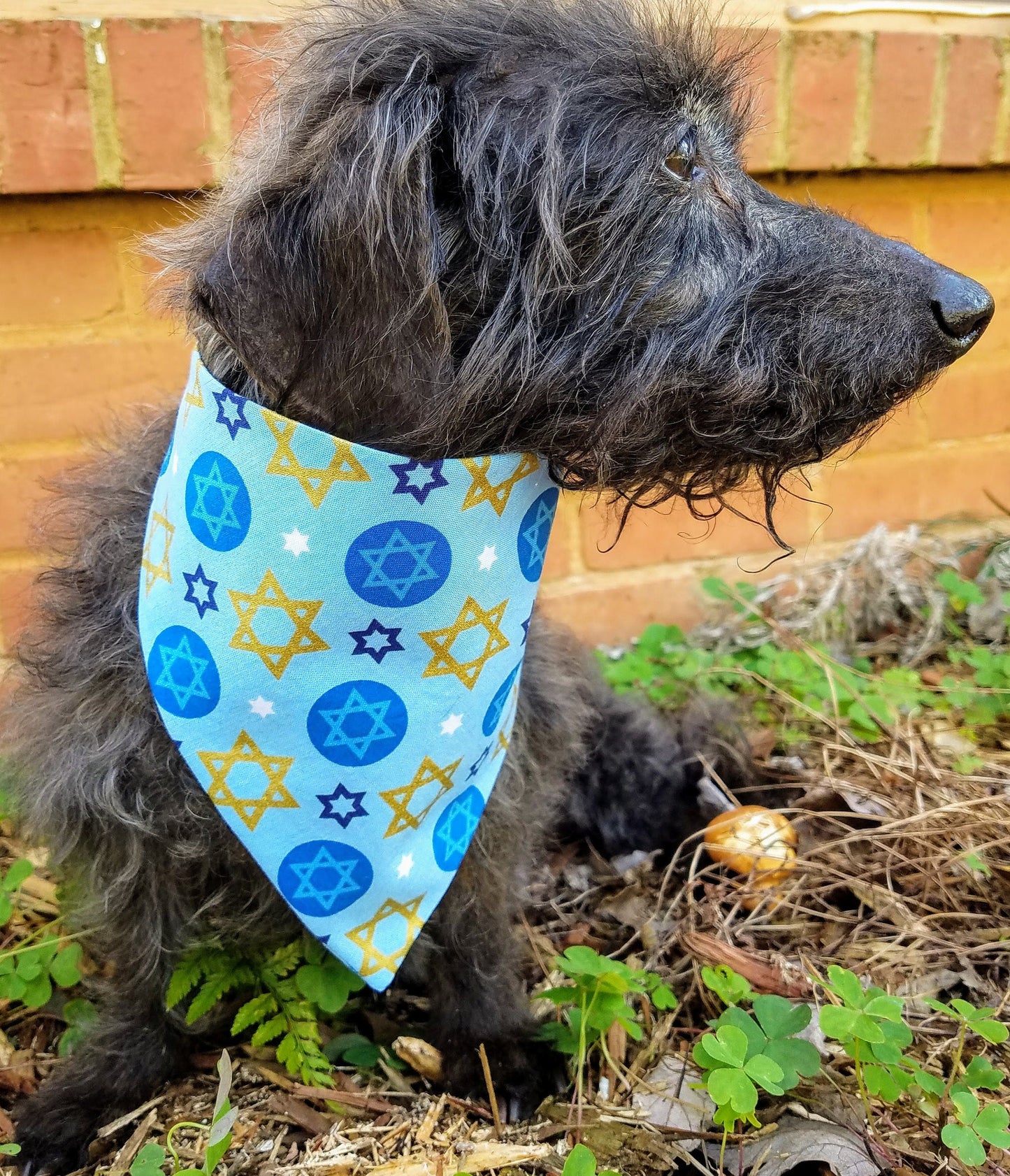 Hanukkah Chanukah Festival of Lights Clip on Dog Bandana With Buckle Pet Cat Bandanna Handmade to Order