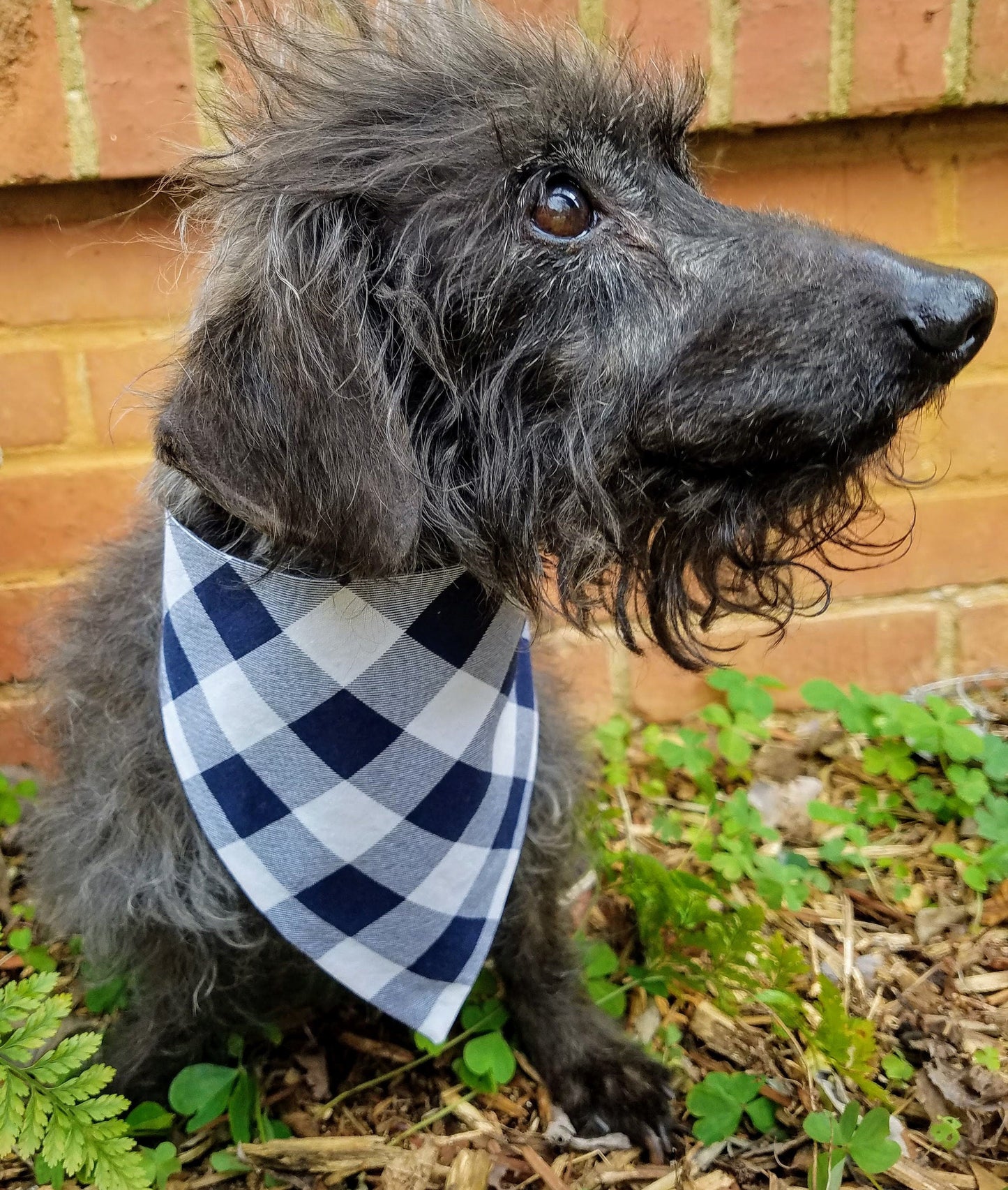Clip on Dog Bandana With Buckle Pet Cat Bandanna Scarf Blue White Buffalo Plaid Buffalo Check Handmade