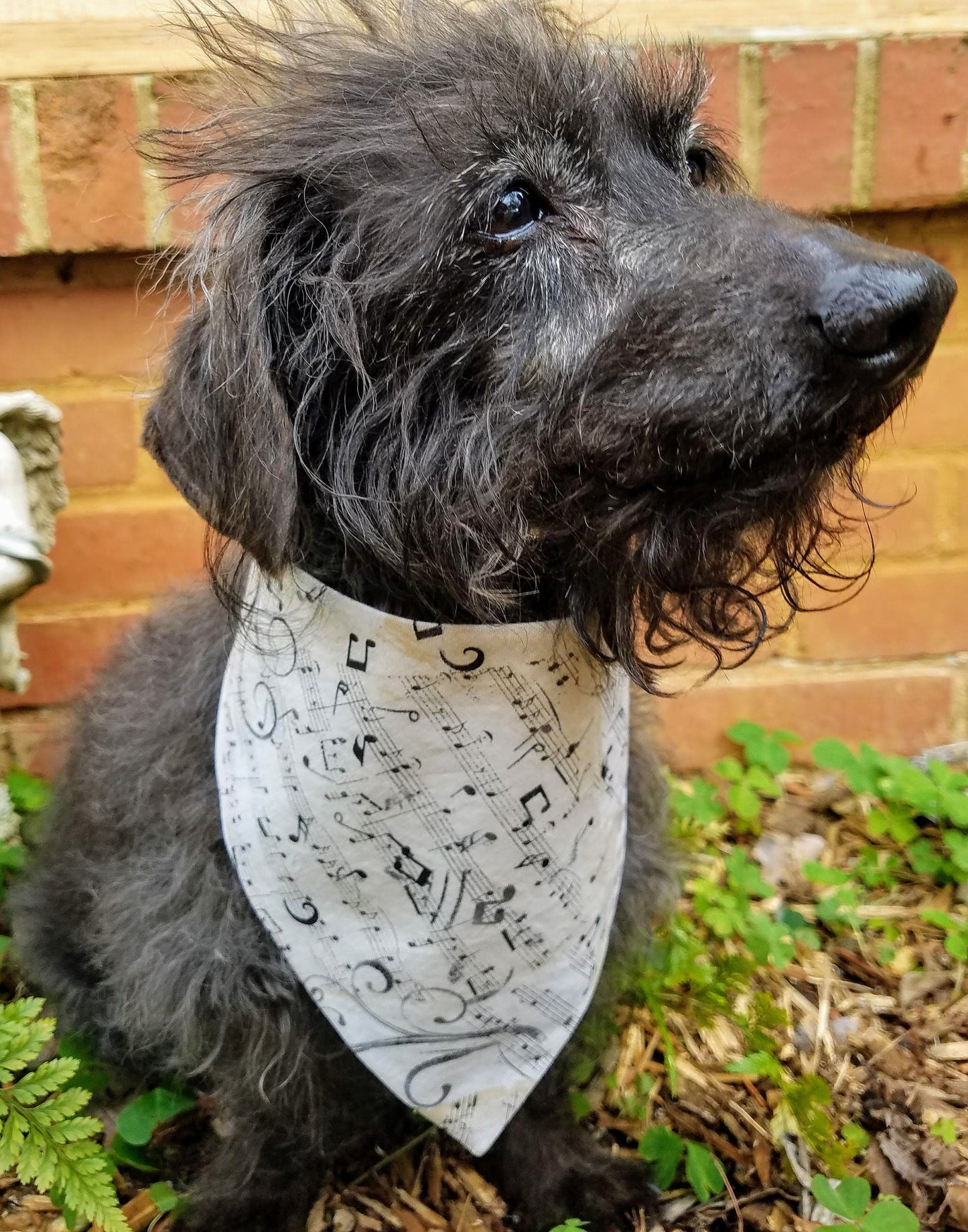 Clip on Dog Bandana With Buckle Pet Cat Bandanna Scarf Musical Sheet Music Notes Handmade to Order