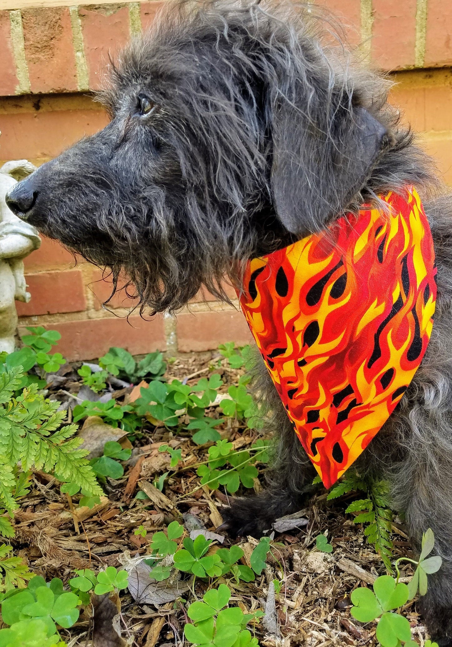 Clip on Dog Bandana With Buckle Pet Cat Bandanna Scarf Hot Stuff Flames Fire Orange Summer Print Handmade to Order