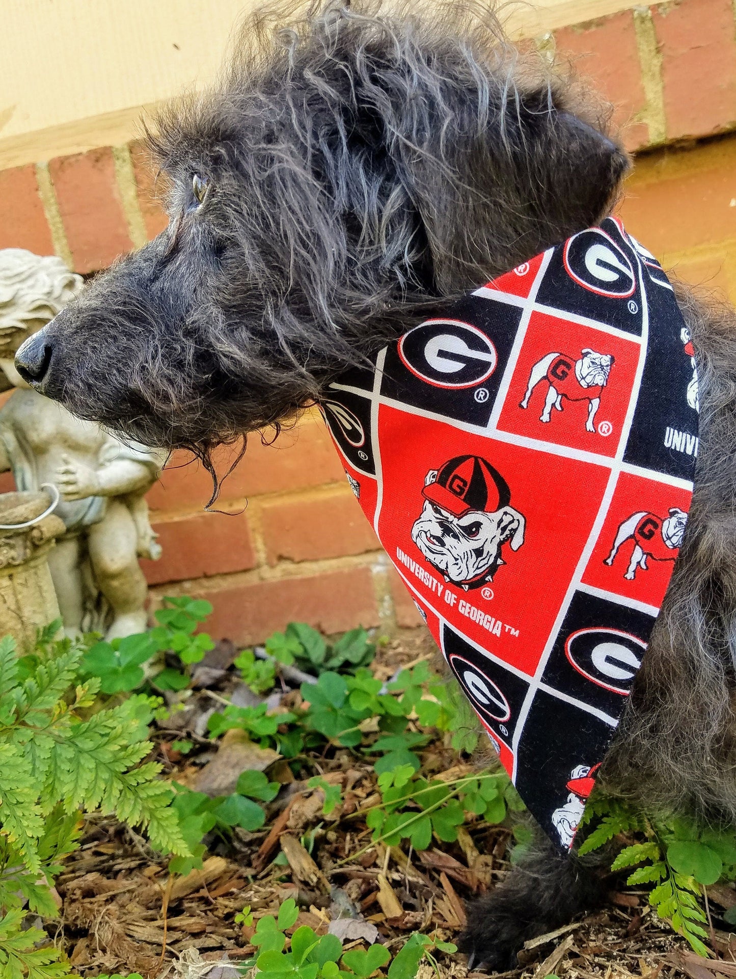 Clip on Dog Bandana With Buckle Pet Cat Bandanna Scarf University of GEORGIA BULLDOGS ncaa uga Handmade to Order