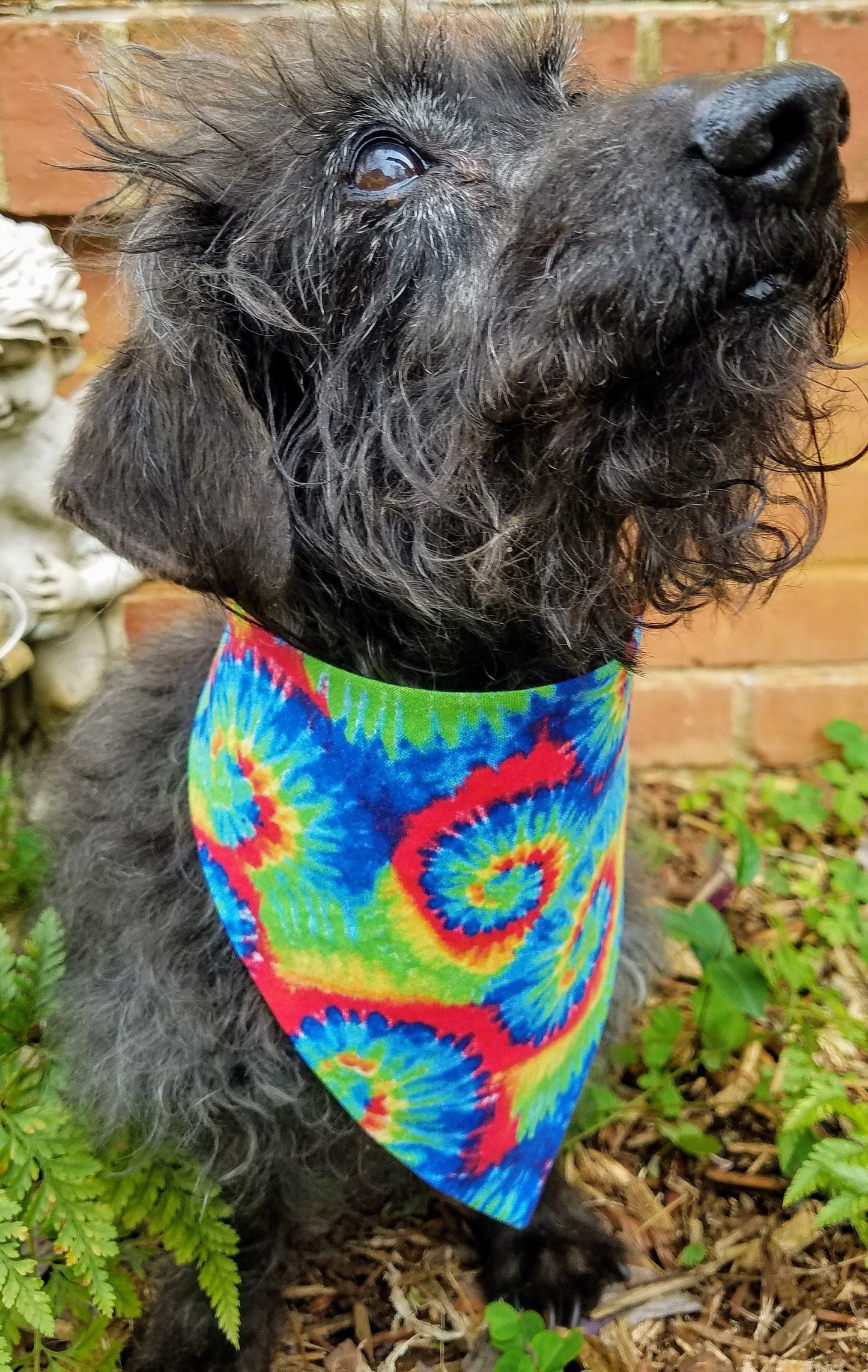 Clip on Dog Bandana With Buckle Pet Cat Bandanna Scarf Tie Dye Rainbow Colorful Summer Print Handmade to Order