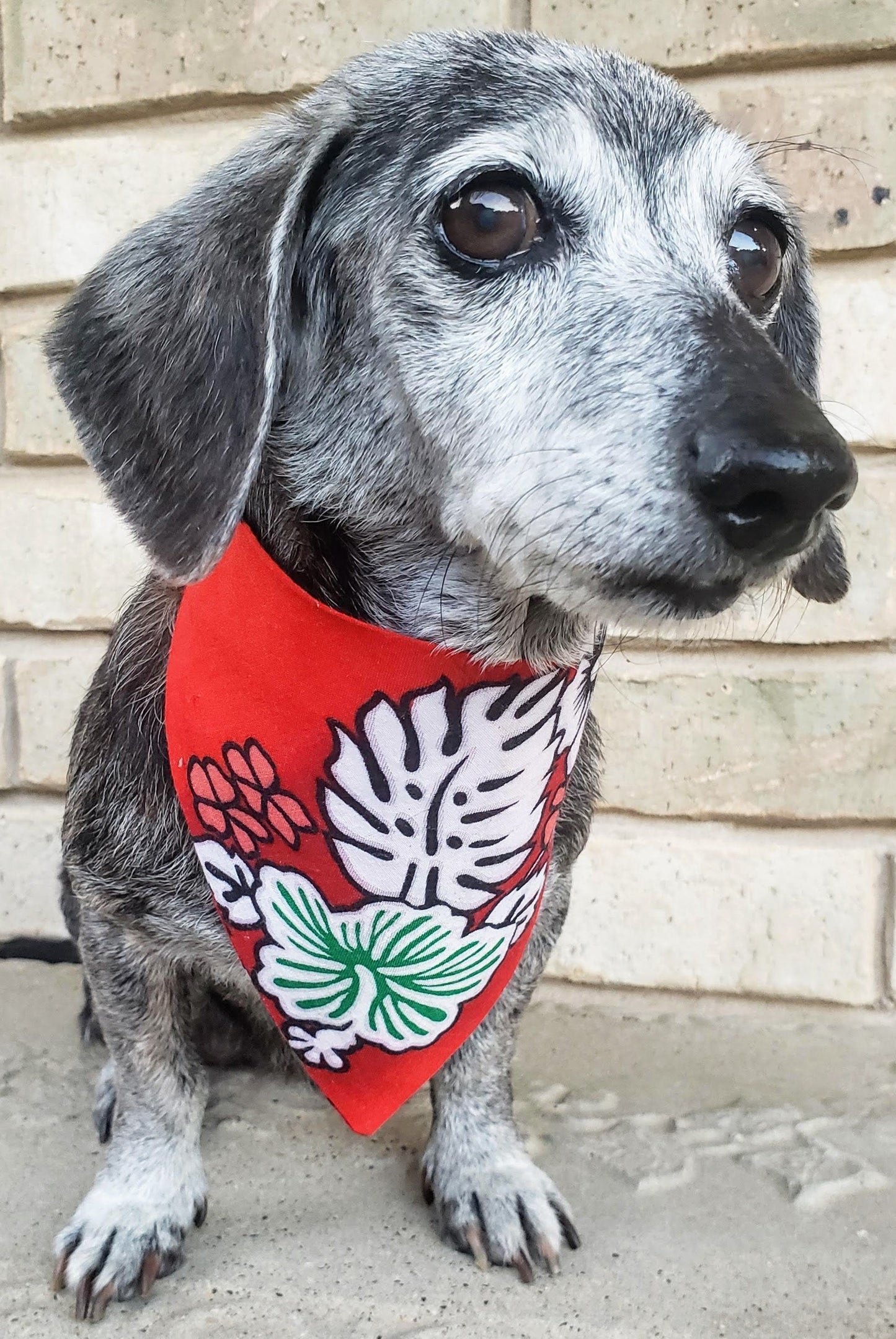 Clip on Dog Bandana With Buckle Pet Cat Bandanna Scarf Classic Red Hawaiian Floral Shirt Hibiscus Print RAYON Handmade to Order