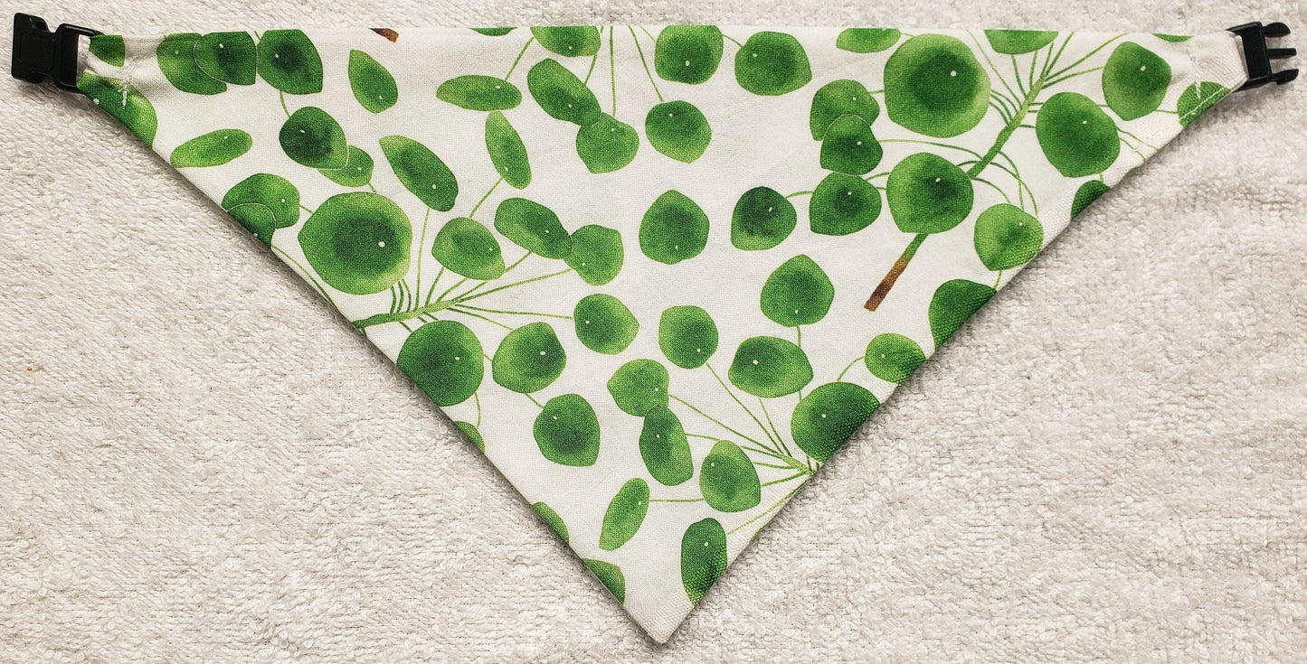 Clip on Dog Bandana With Buckle Pet Cat Bandanna Scarf Green Houseplant Plant Leaves Pilea Friendship Plant Handmade to Order