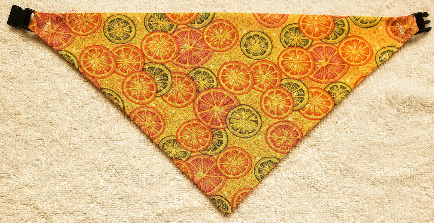 Clip on Dog Bandana With Buckle Pet Cat Bandanna Scarf Citrus Oranges Grapefruits Limes Orange Summer Print Handmade to Order