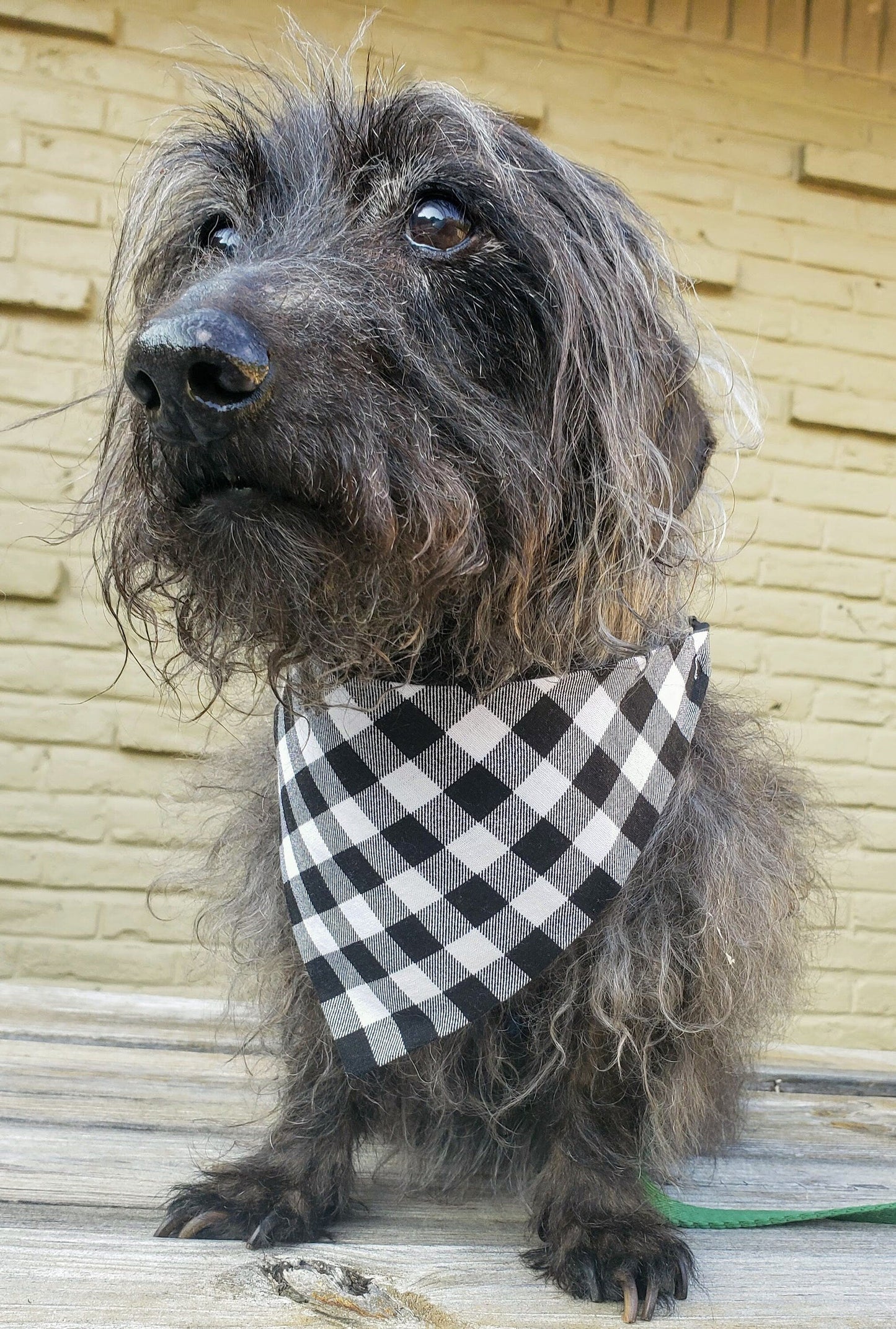 Clip on Dog Bandana With Buckle Pet Cat Bandanna Scarf Small White Buffalo Plaid Buffalo Check Christmas Handmade to Order