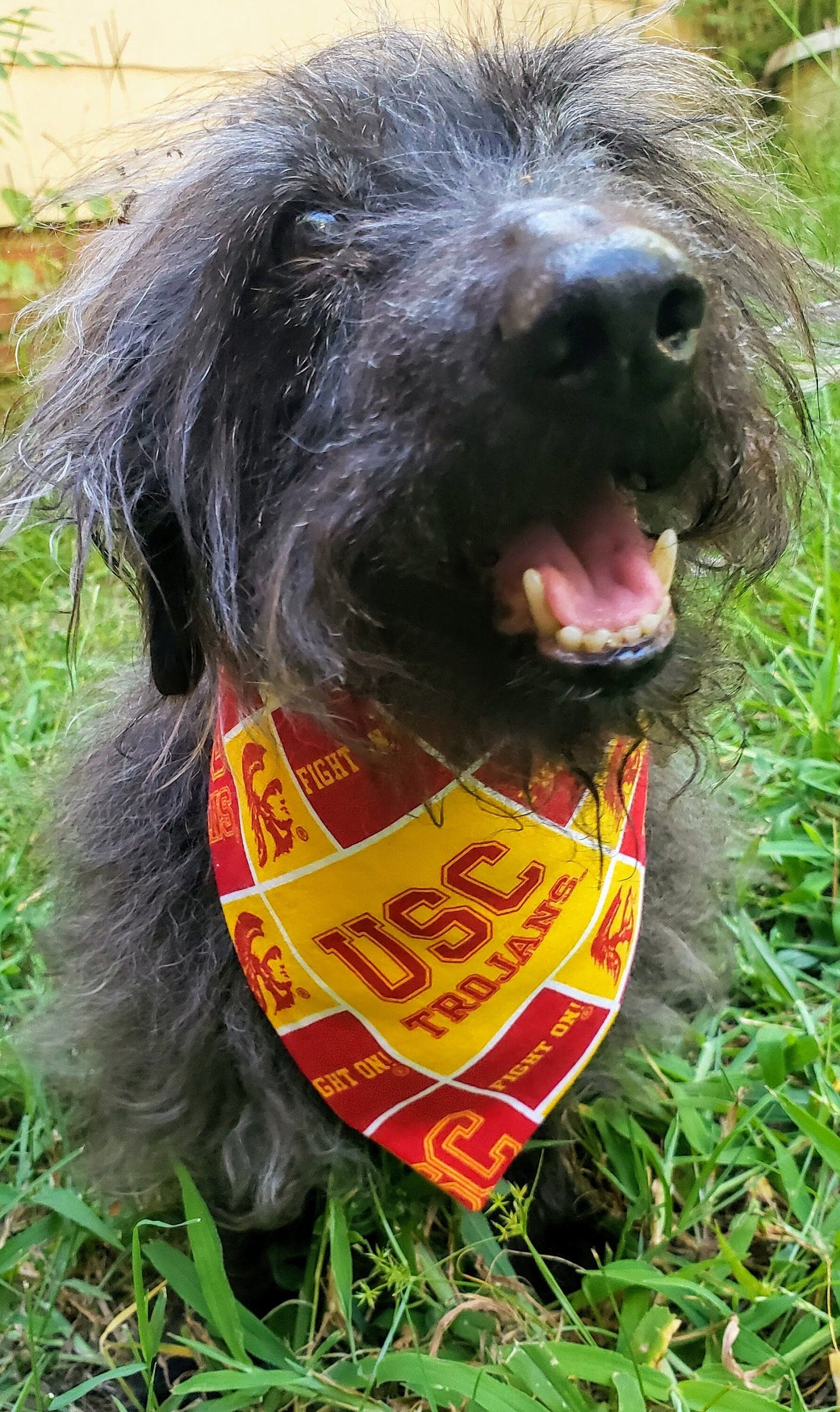 Clip on Dog Bandana With Buckle Pet Cat Bandanna Scarf University of Southern California TROJANS ncaa usc Handmade to Order
