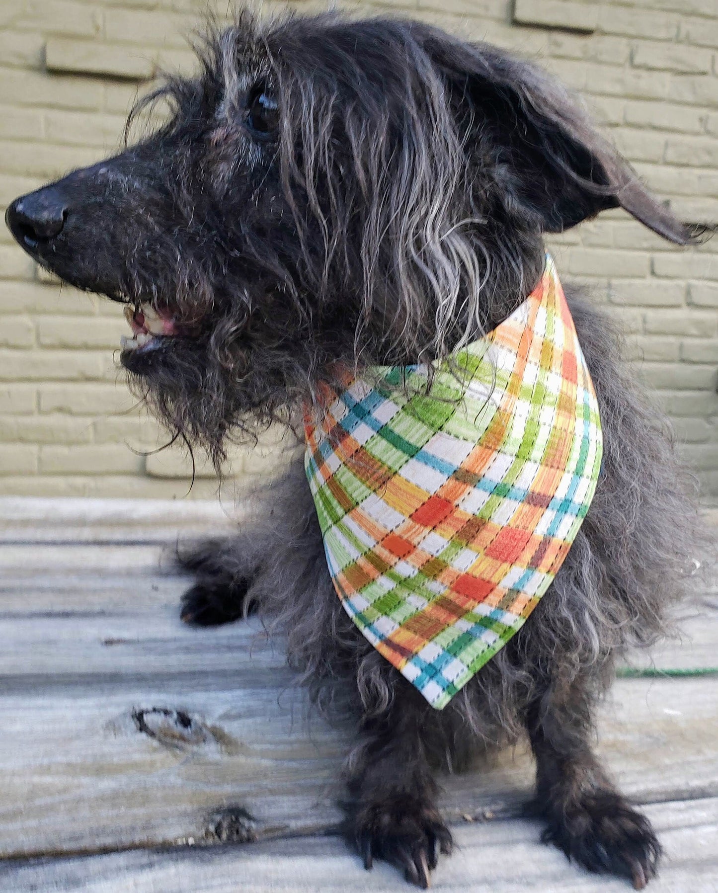 Colorful Autumn Plaid Fall Harvest Thanksgiving Clip on Dog Bandana With Buckle Pet Cat Bandanna Handmade to Order