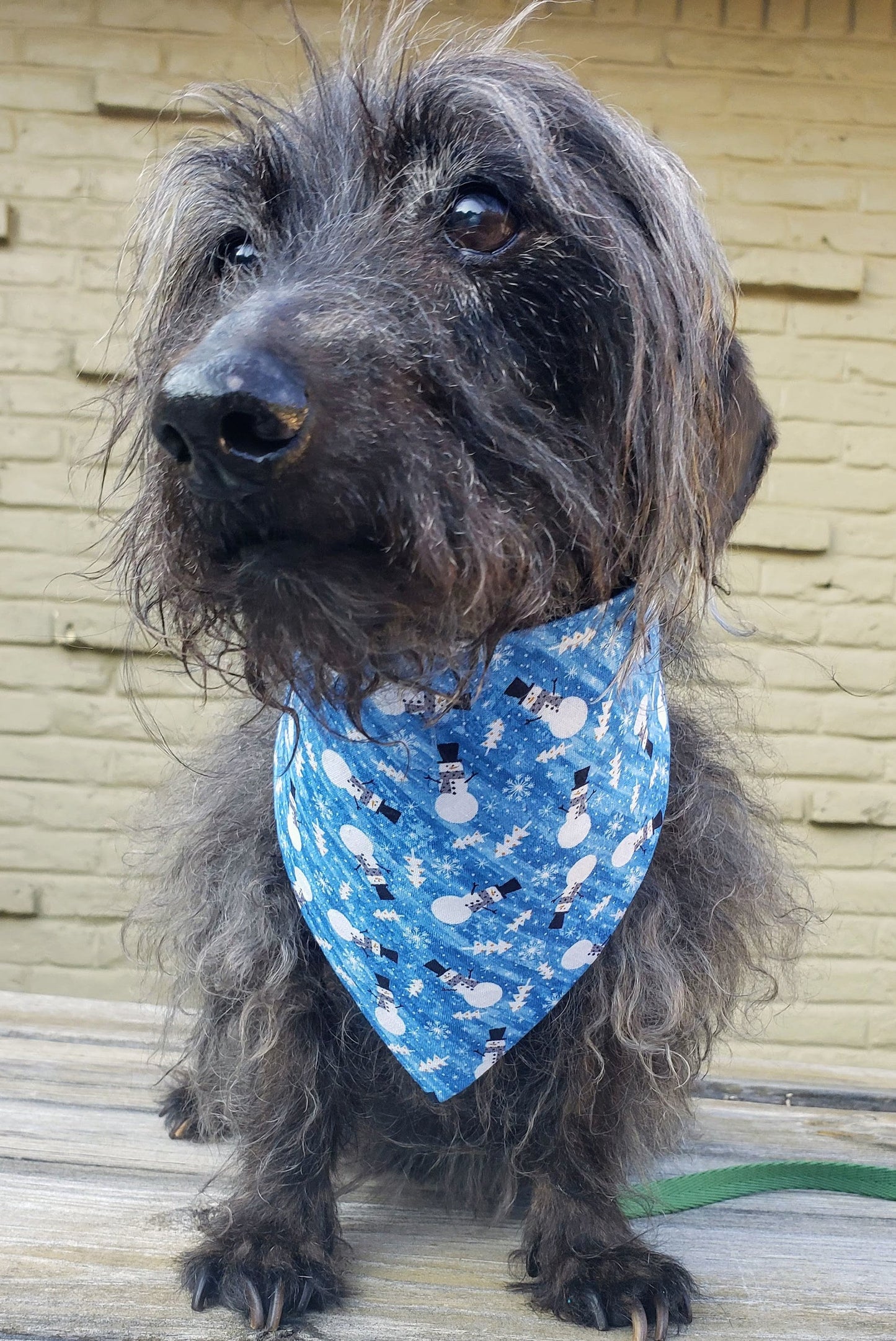 Snowman Christmas Winter Holiday Clip on Dog Bandana With Buckle Pet Cat Bandanna Handmade to Order