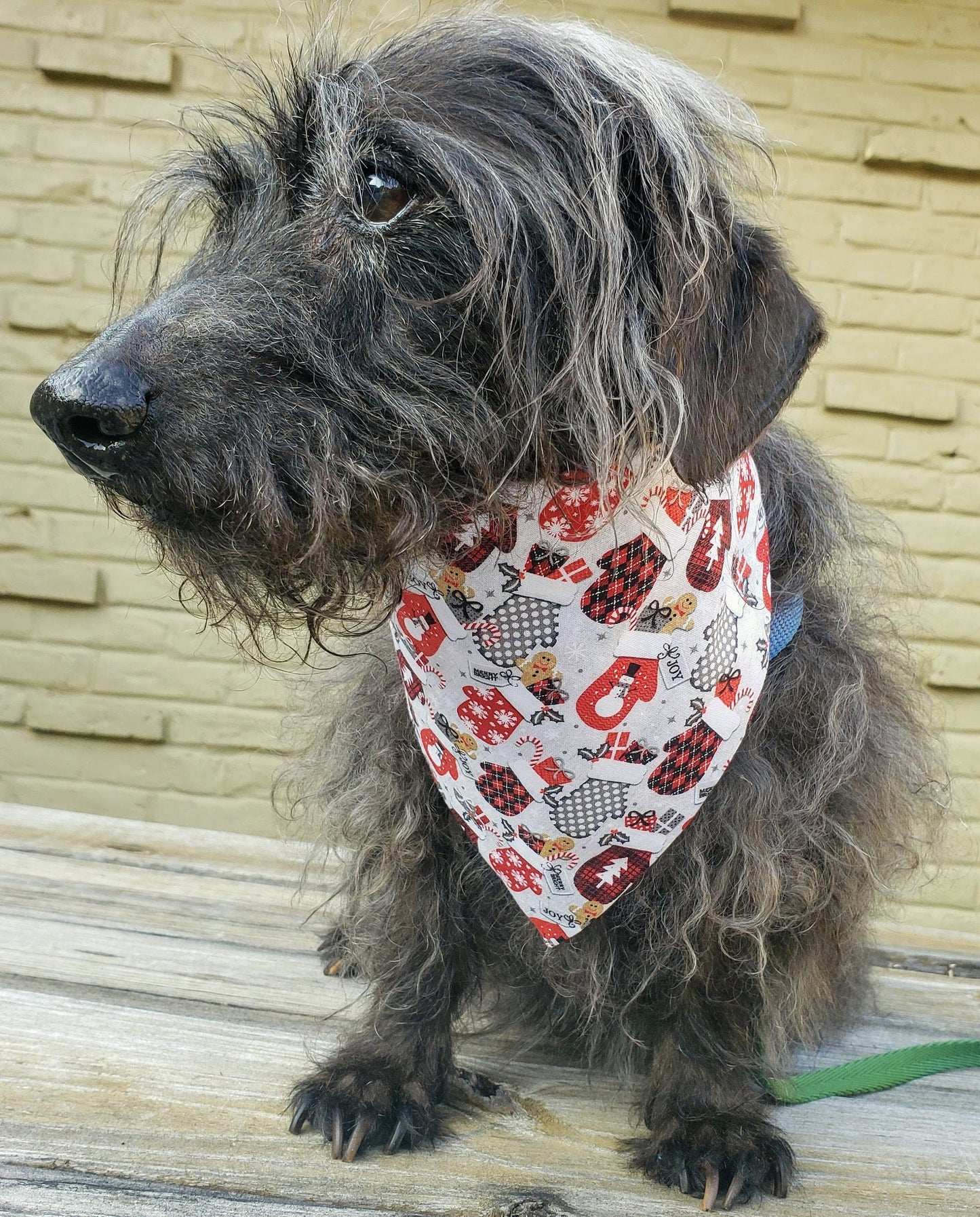 Clip on Dog Bandana With Buckle Pet Cat Bandanna Scarf Red & Silver Christmas Mittens Gloves Winter Holiday Handmade to Order
