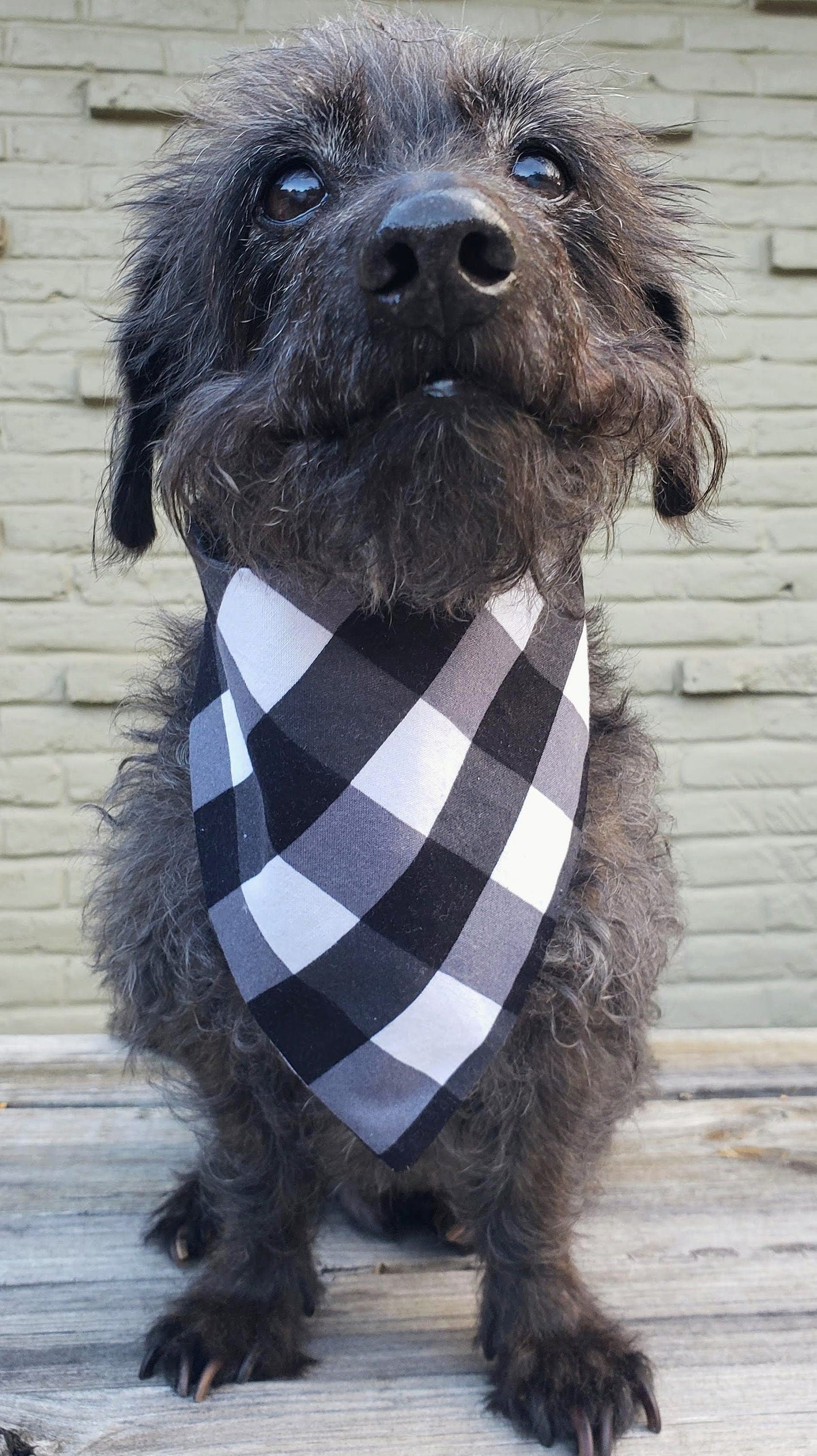 Clip on Dog Bandana With Buckle Pet Cat Bandanna Scarf Large White Buffalo Plaid Buffalo Check Christmas Handmade to Order