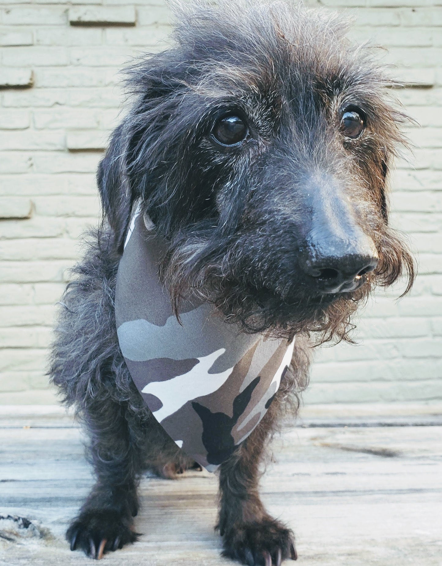 Clip on Dog Bandana With Buckle Pet Cat Bandanna Scarf Gray Arctic Camo Print Handmade to Order