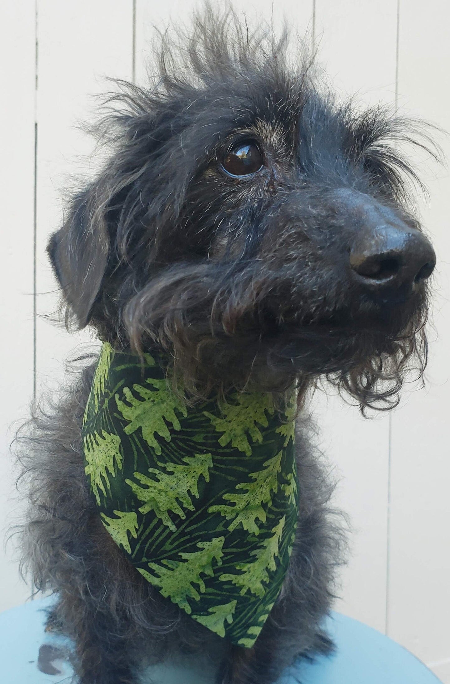 Clip on Dog Bandana With Buckle Pet Cat Bandanna Scarf Batik Green Pine Trees Print Handmade to Order
