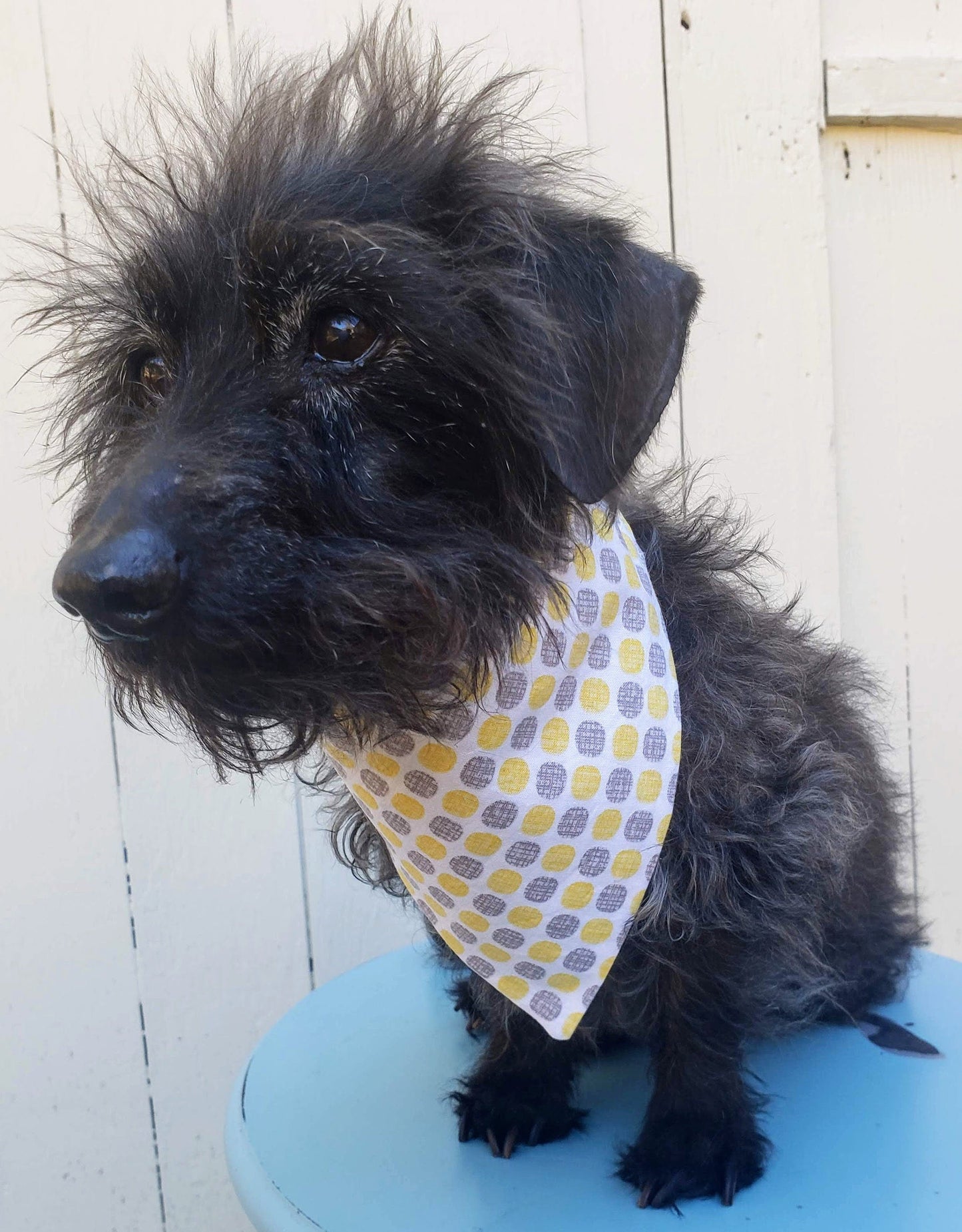 Clip on Dog Bandana With Buckle Pet Cat Bandanna Scarf Pantone COLOR of the YEAR Yellow & Gray Dots Print Handmade to Order