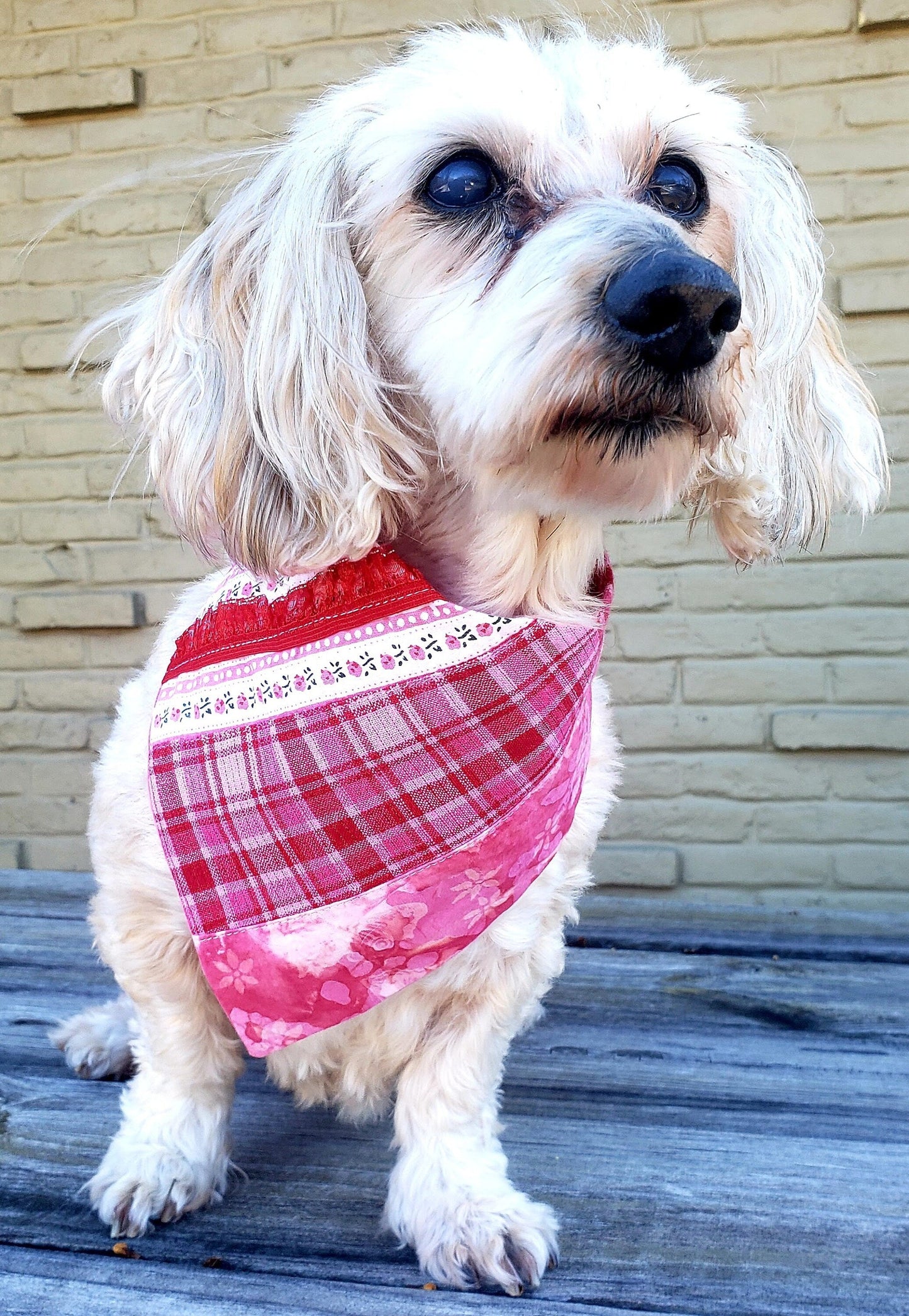 Valentines Day Stripes Love Sweetheart Clip on Dog Bandana With Buckle Pet Cat Bandanna Handmade to Order