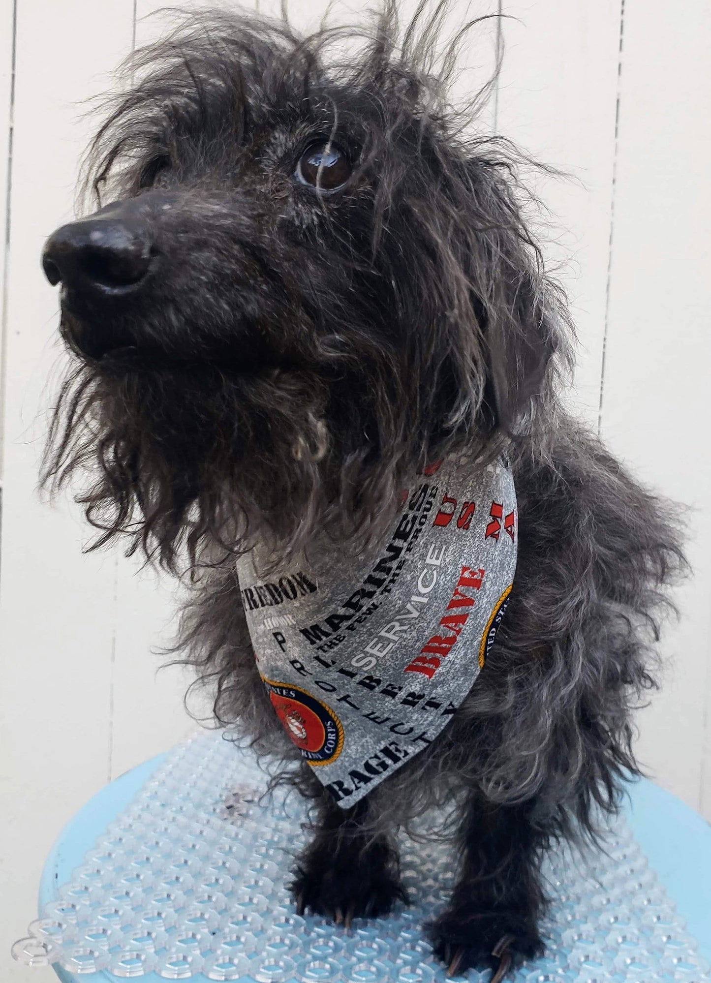 US MARINES Hero Military Inspired Patriotic Clip on Dog Bandana With Buckle Pet Cat Bandanna Handmade to Order
