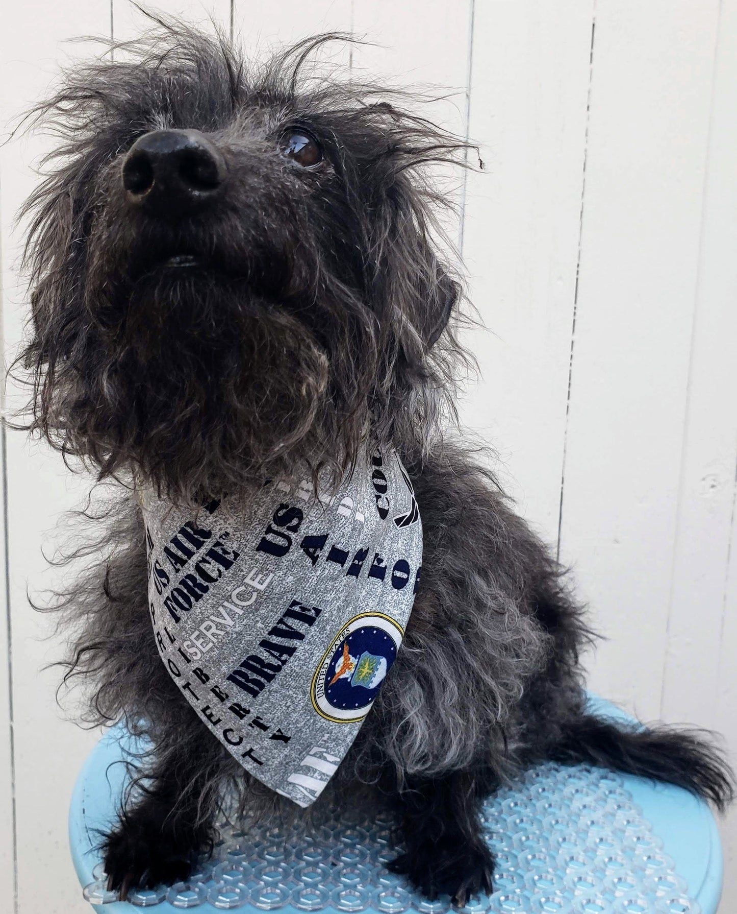 US AIR FORCE Hero Military Inspired Patriotic Clip on Dog Bandana With Buckle Pet Cat Bandanna Handmade to Order