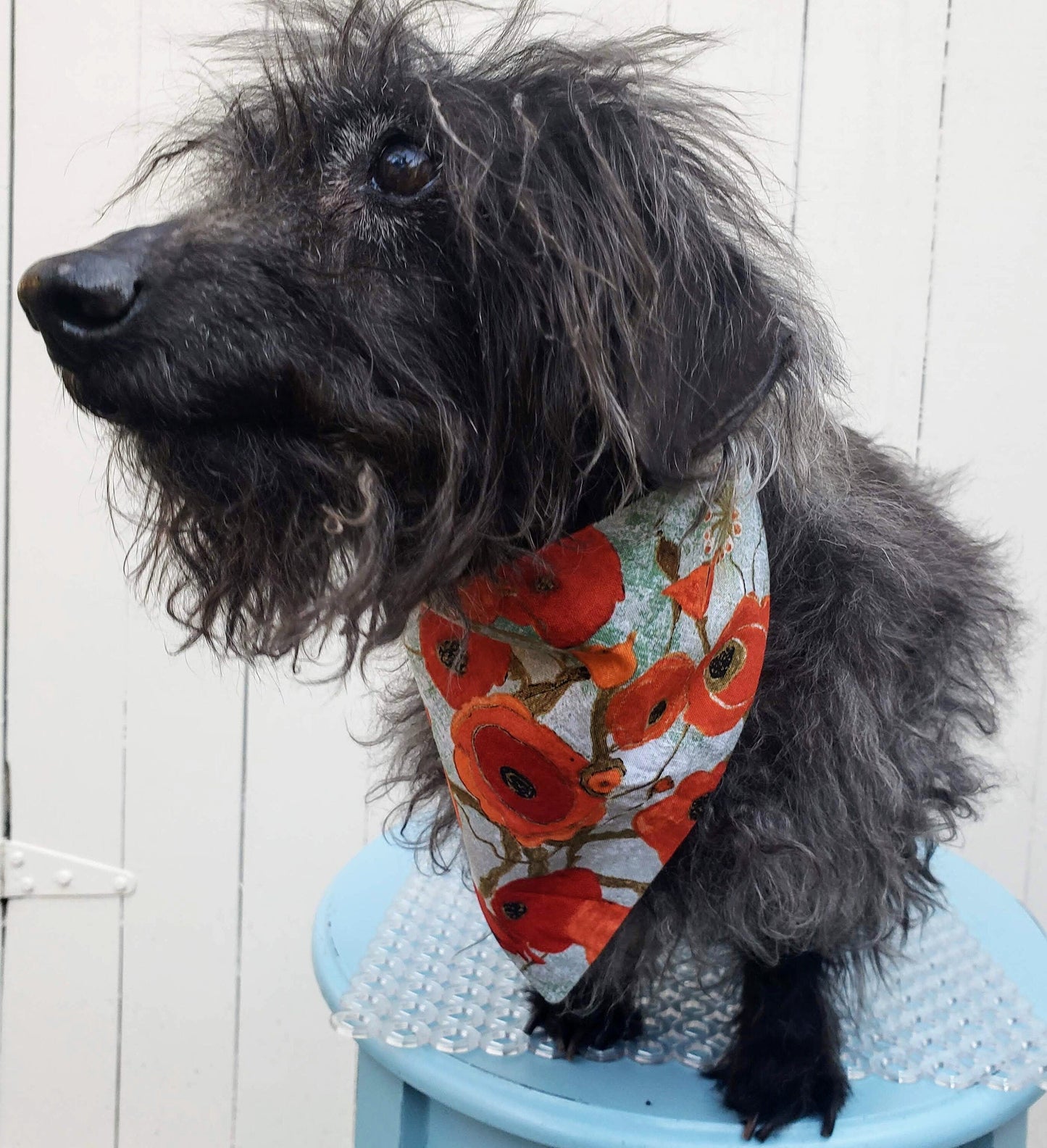 Clip on Dog Bandana With Buckle Pet Cat Bandanna Scarf Springtime Floral Poppies Inspired Artsy Print Handmade to Order