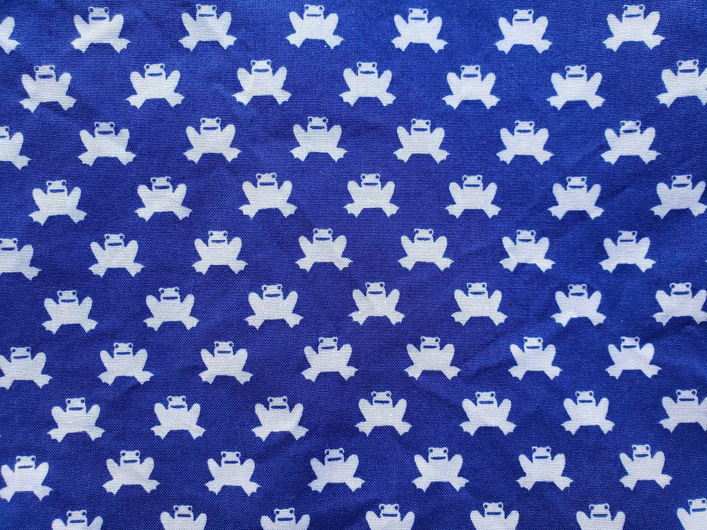 Clip on Dog Bandana With Buckle Pet Cat Bandanna Scarf Blue Small Frogs Funky Fun Preppy Trendy Print Handmade to Order