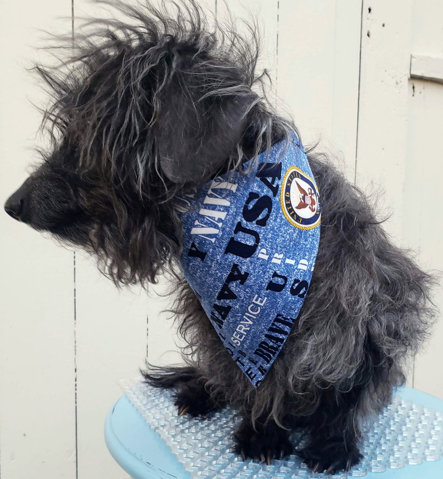 Clip on Dog Bandana With Buckle Pet Cat Bandanna Scarf US NAVY Hero Military Inspired Heather Blue Patriotic Print Handmade to Order