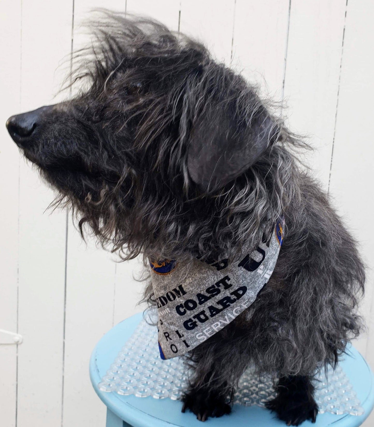 US COAST GUARD Hero Military Inspired Patriotic Clip on Dog Bandana With Buckle Pet Cat Bandanna Handmade to Order