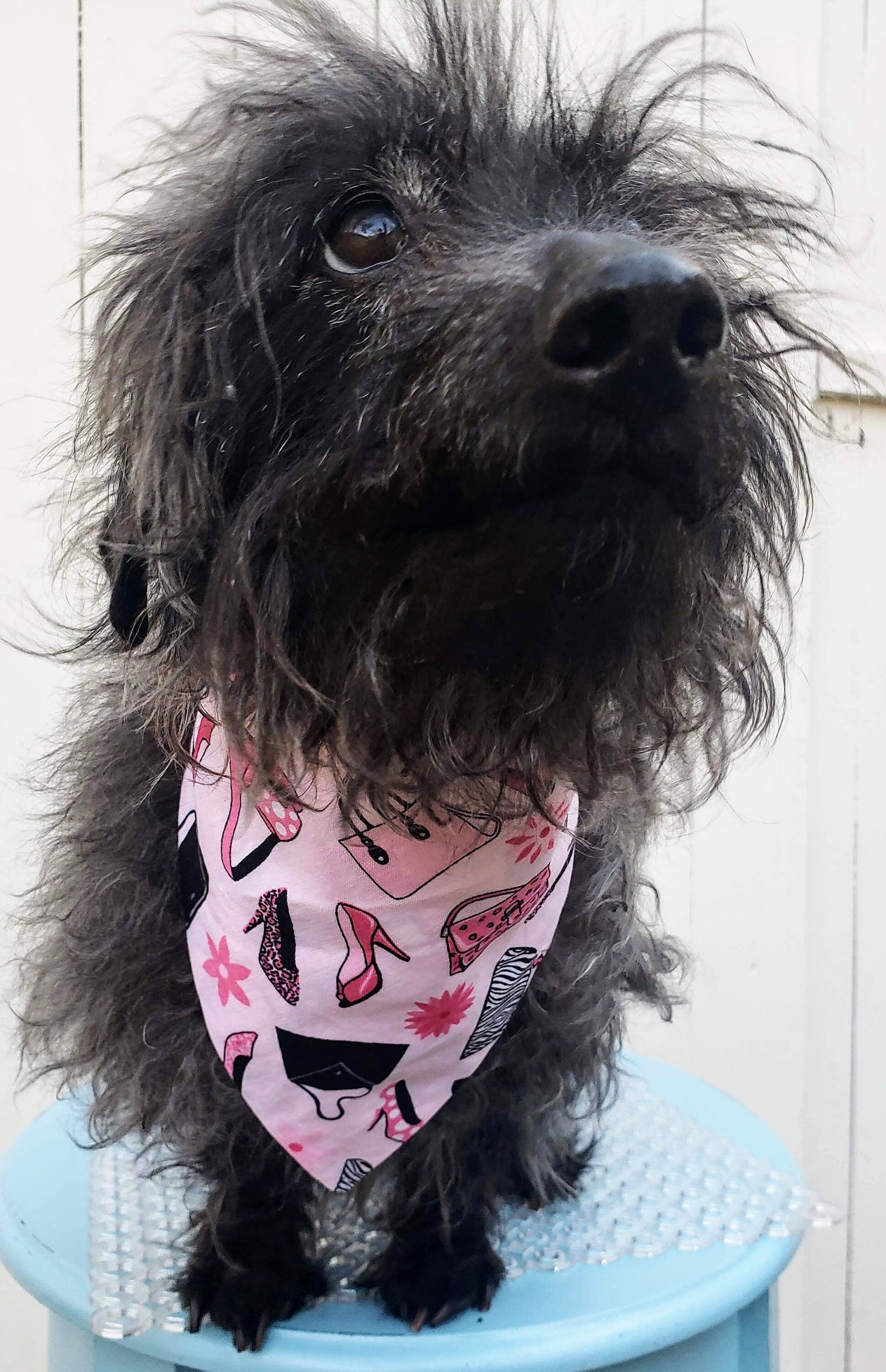 Clip on Dog Bandana With Buckle Pet Cat Bandanna Scarf Pink Purses and Shoes SHOP til YOU DROP Fun Print Handmade to Order
