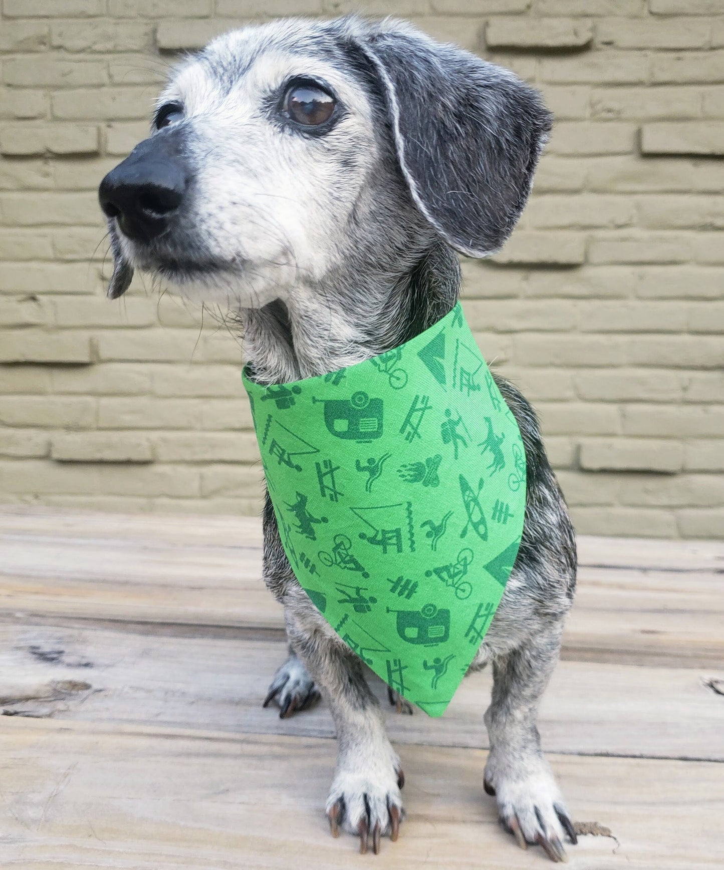 Clip on Dog Bandana With Buckle Pet Cat Bandanna Scarf Green Camping Fishing RVing Signage Print Handmade to Order