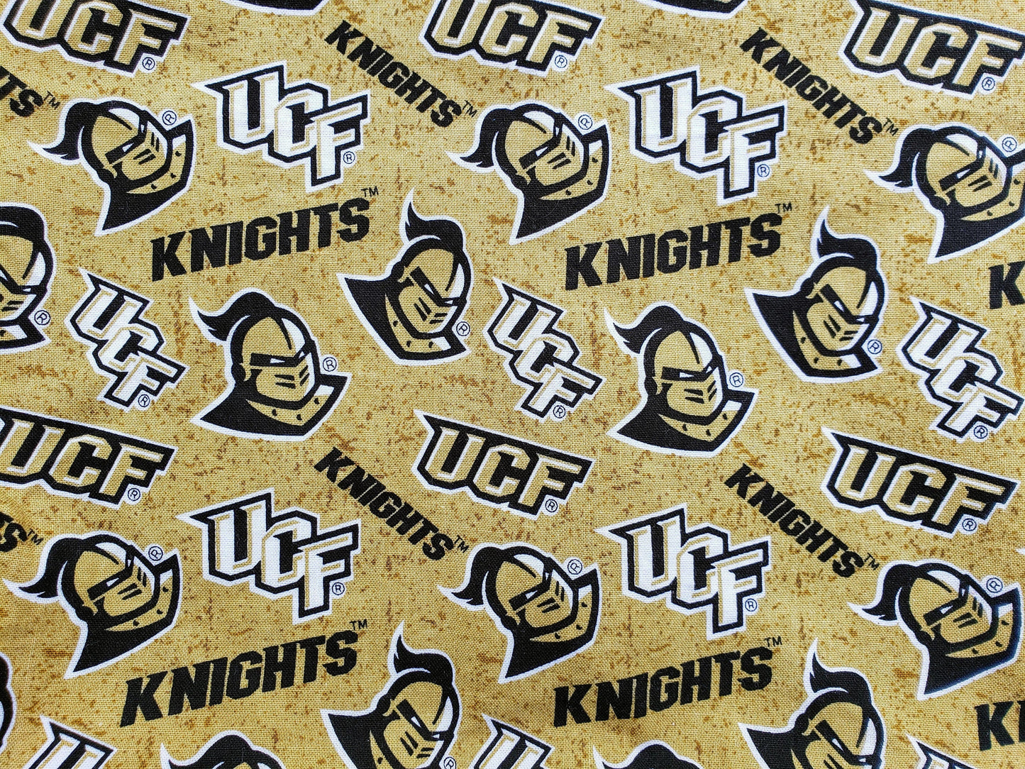 Clip on Dog Bandana With Buckle Pet Cat Bandanna Scarf University of Central Florida Knights ncaa ucf Handmade to Order