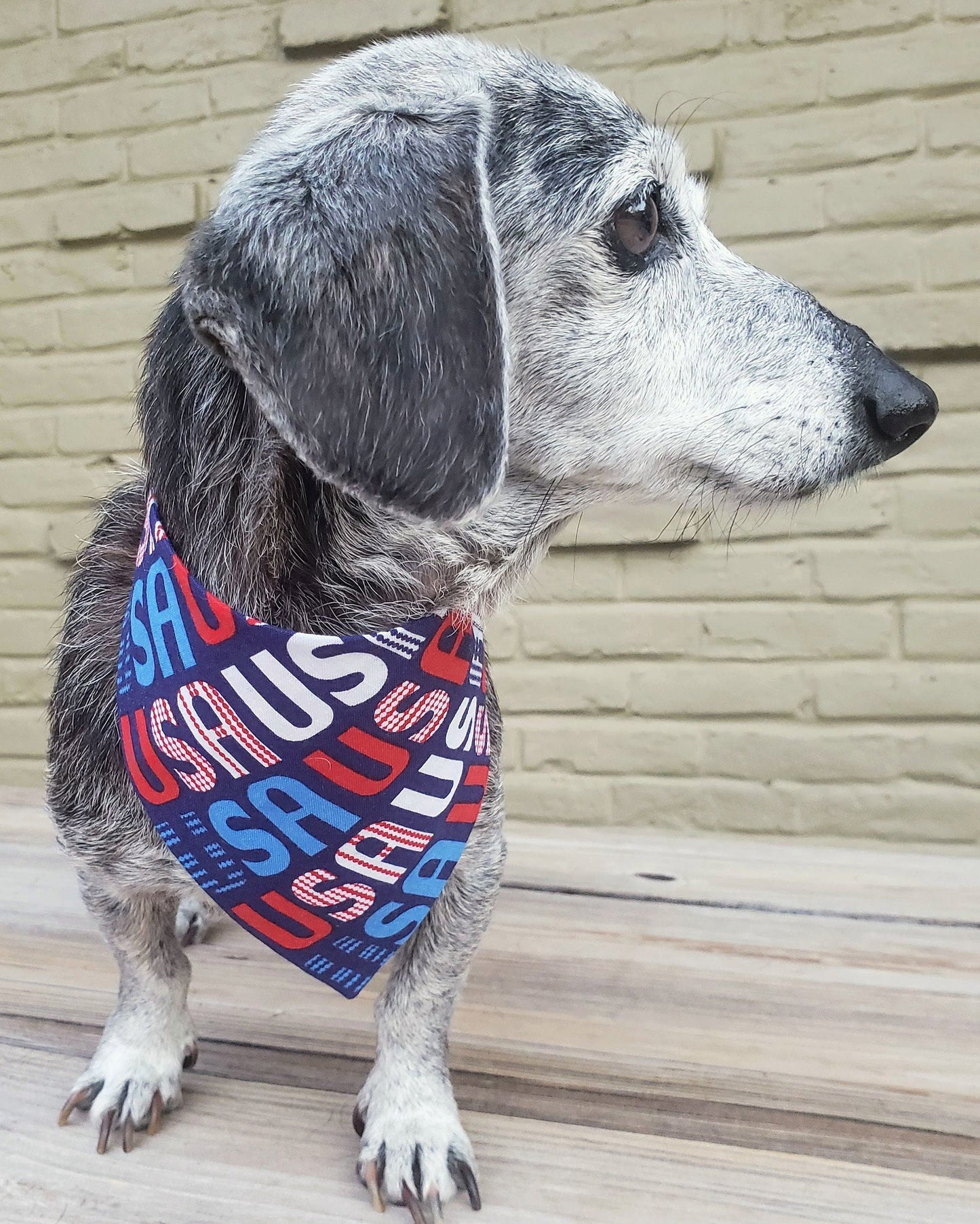 Clip on Dog Bandana With Buckle Pet Cat Bandanna Scarf Patriotic Red White Blue Team USA 2020 Olympics Handmade to Order
